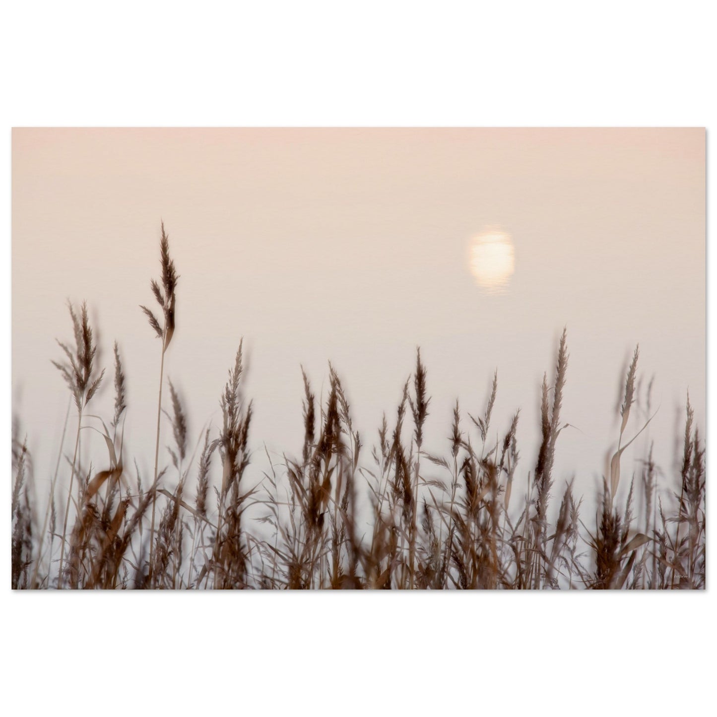 6149603f-a789-4c9e-9b1a-5aadd202c4cf