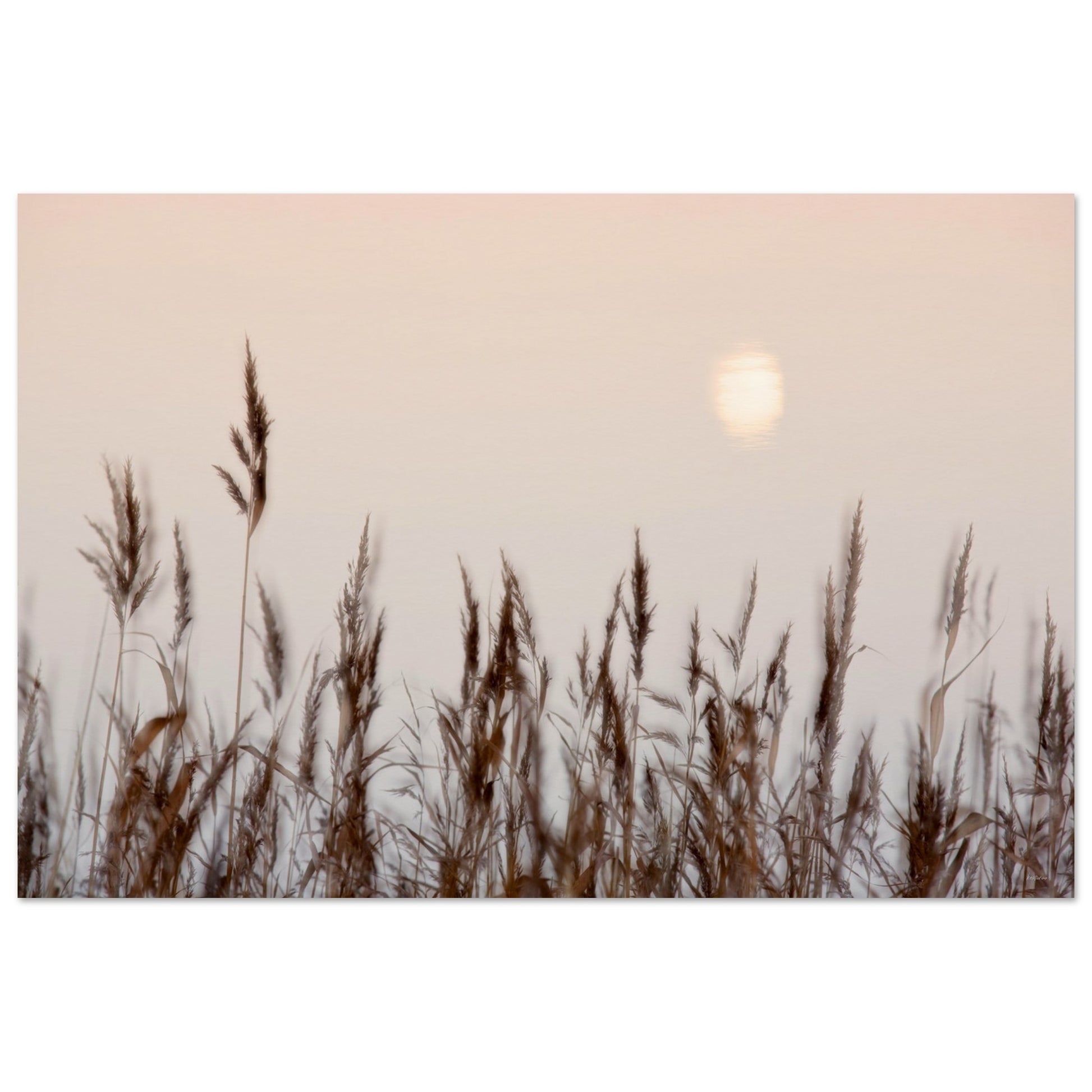 6149603f-a789-4c9e-9b1a-5aadd202c4cf