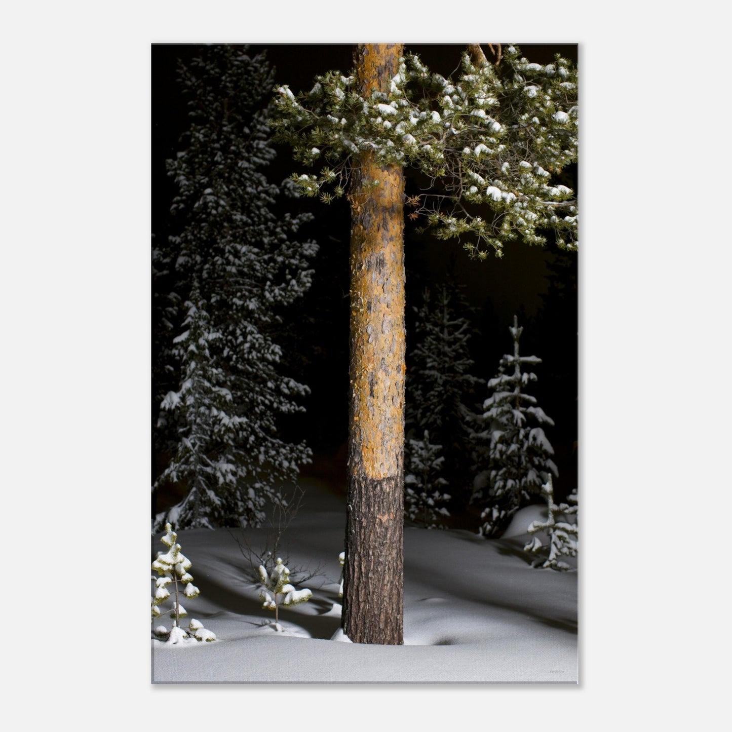 62aa7178-dbcf-4fa5-85ad-4ca6bbd600d2