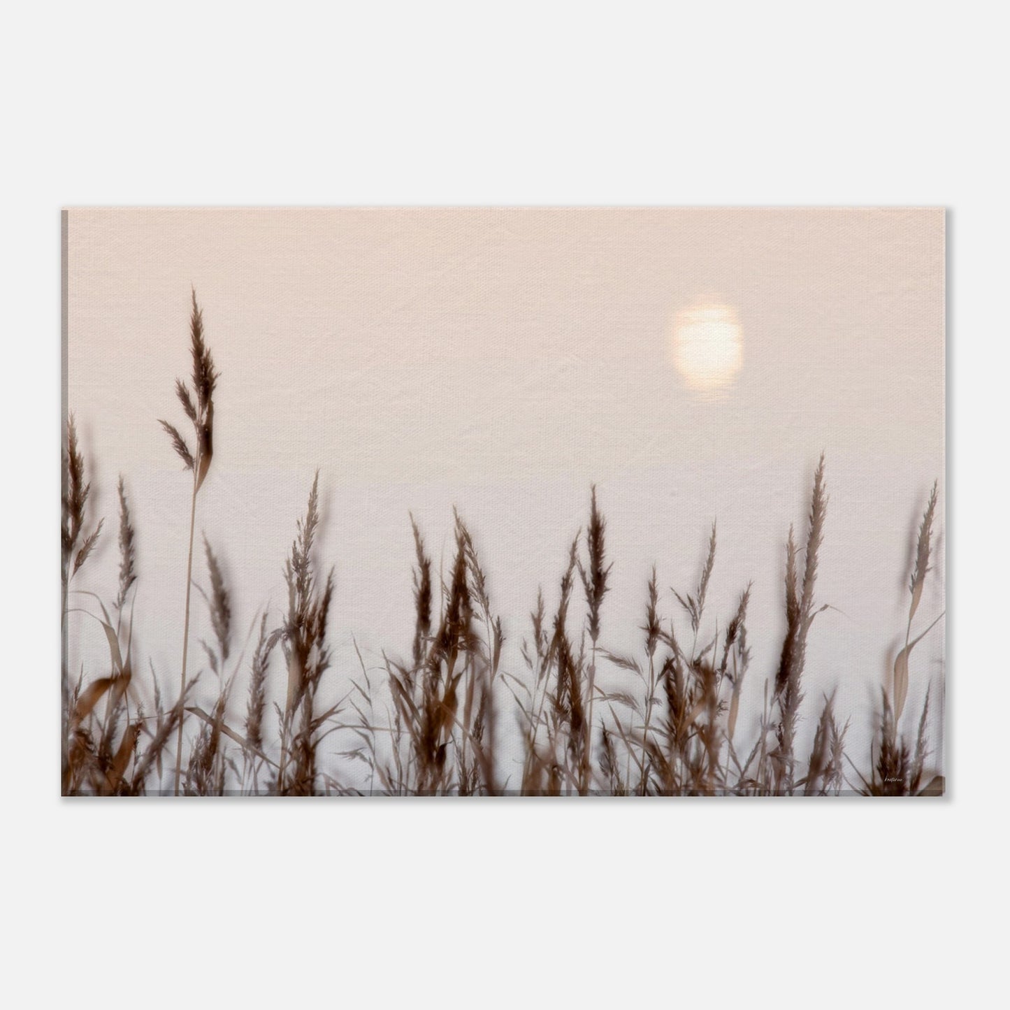 62eaa8fc-9329-4c1a-bd70-4b8ff9b9ba40