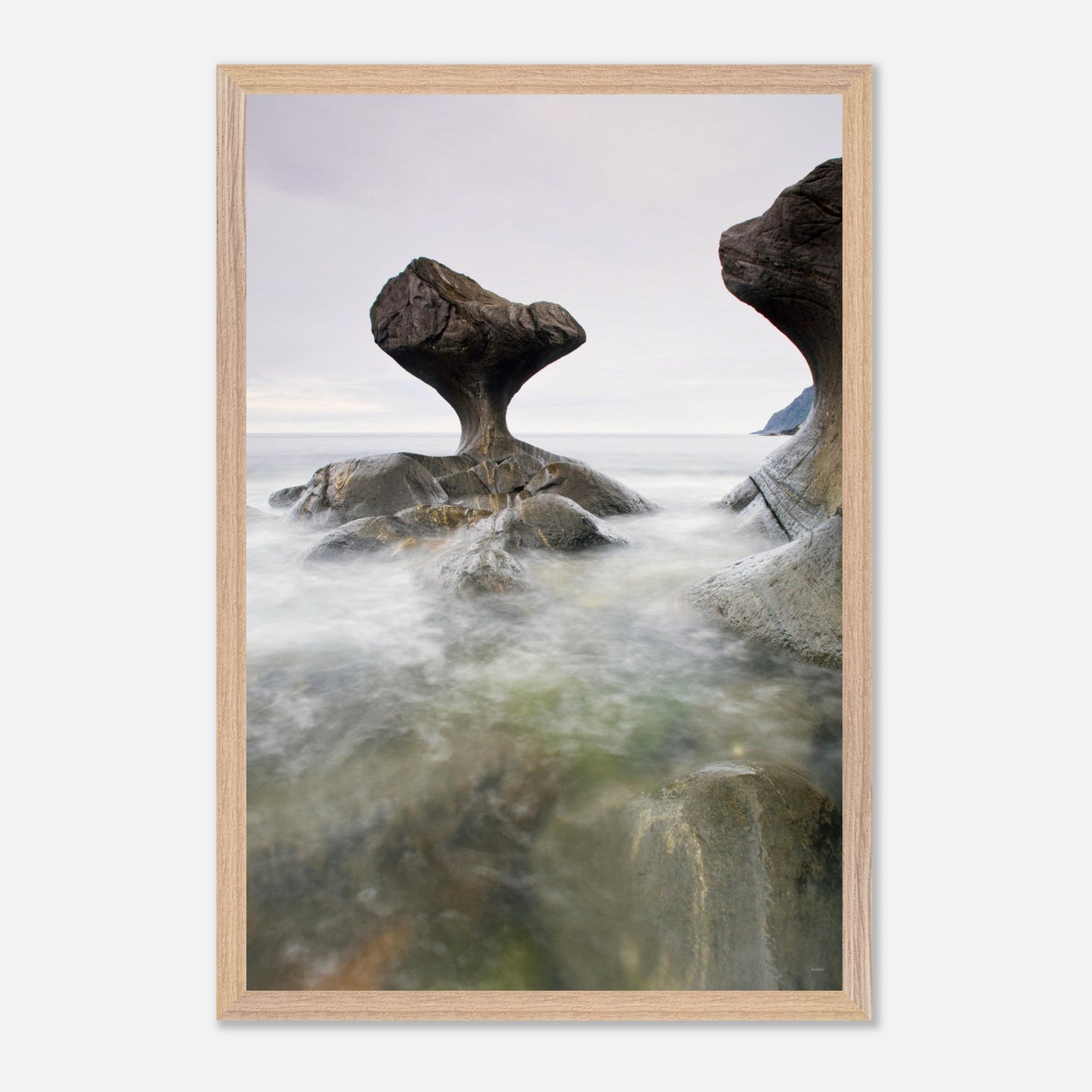 62f5e247-91b9-4f46-b95a-be5c2c557b2c