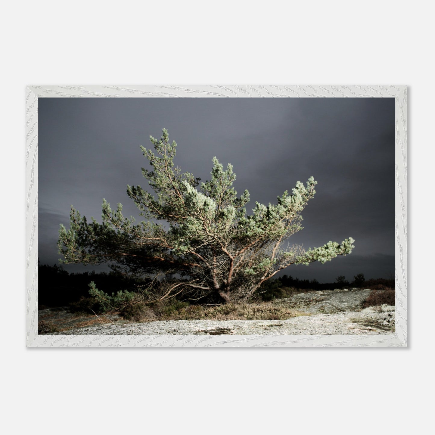 639c300e-675a-4383-8978-b80417e0b699