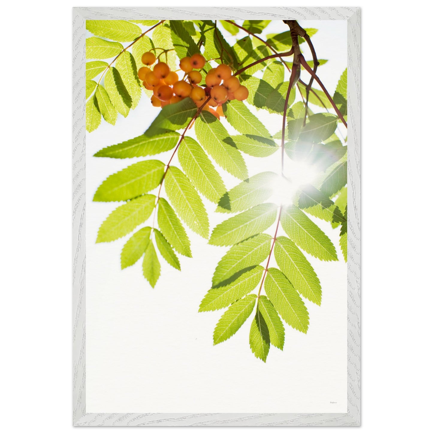 63c86622-6afb-43cb-b029-966295bdcdb6