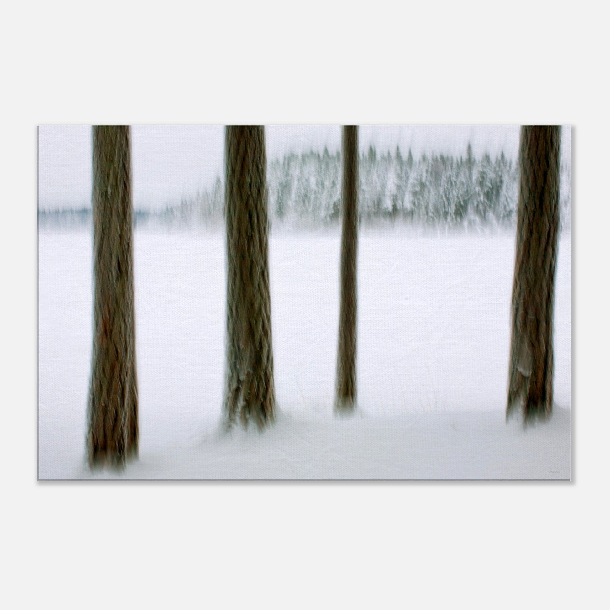 6521d5a2-4a31-4222-9211-389b951e358c