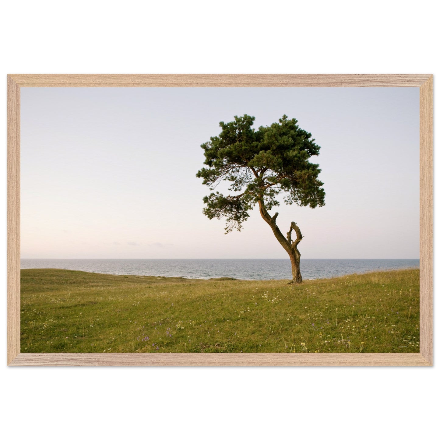 65c3566f-6d99-4f28-8ef8-1fdec4c6ca4c