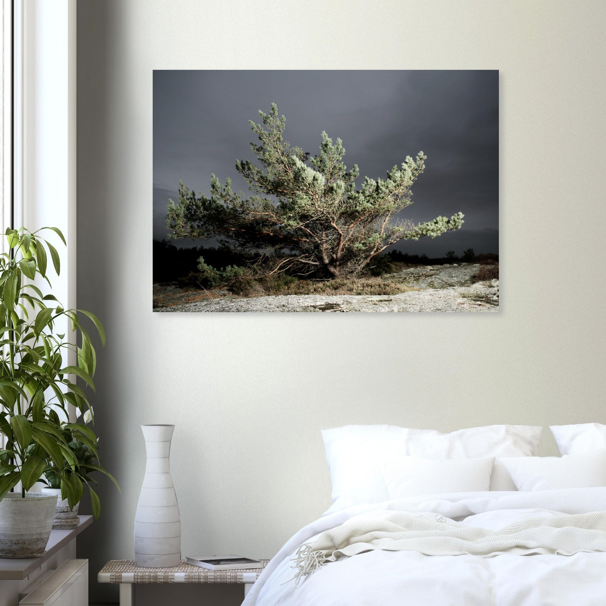 65d8999f-3882-4759-9625-fffc549724ce