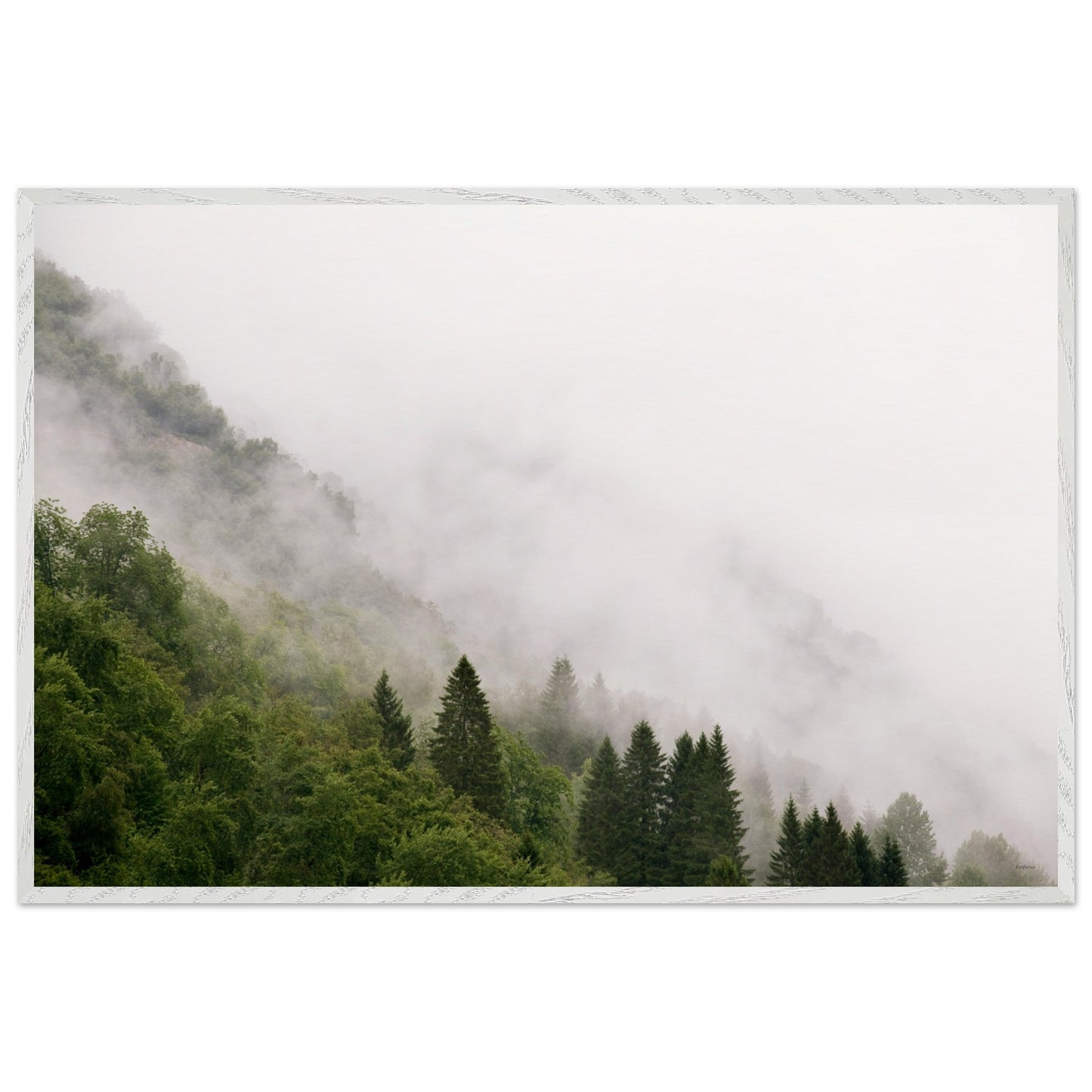 667887a9-cf9d-40a3-903f-7892273f6234