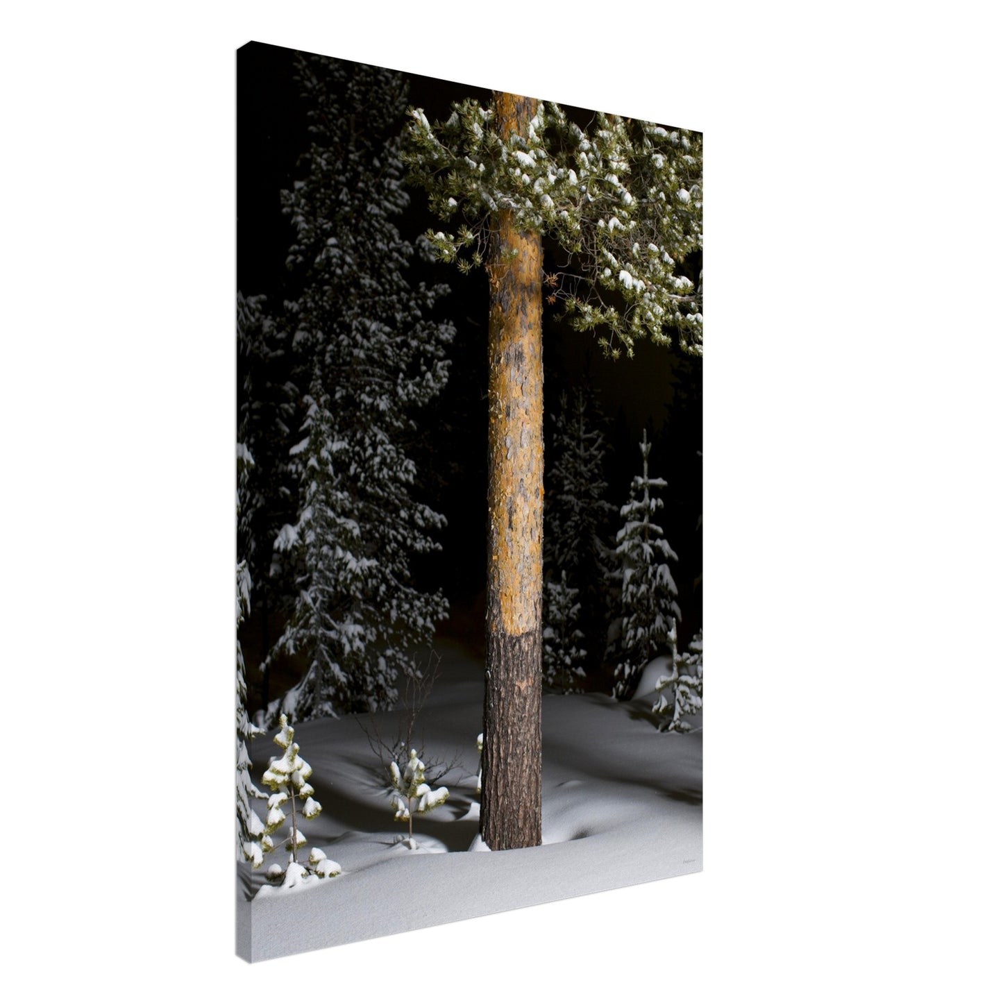 6772d313-5a21-4490-94bd-94776a5e82f6