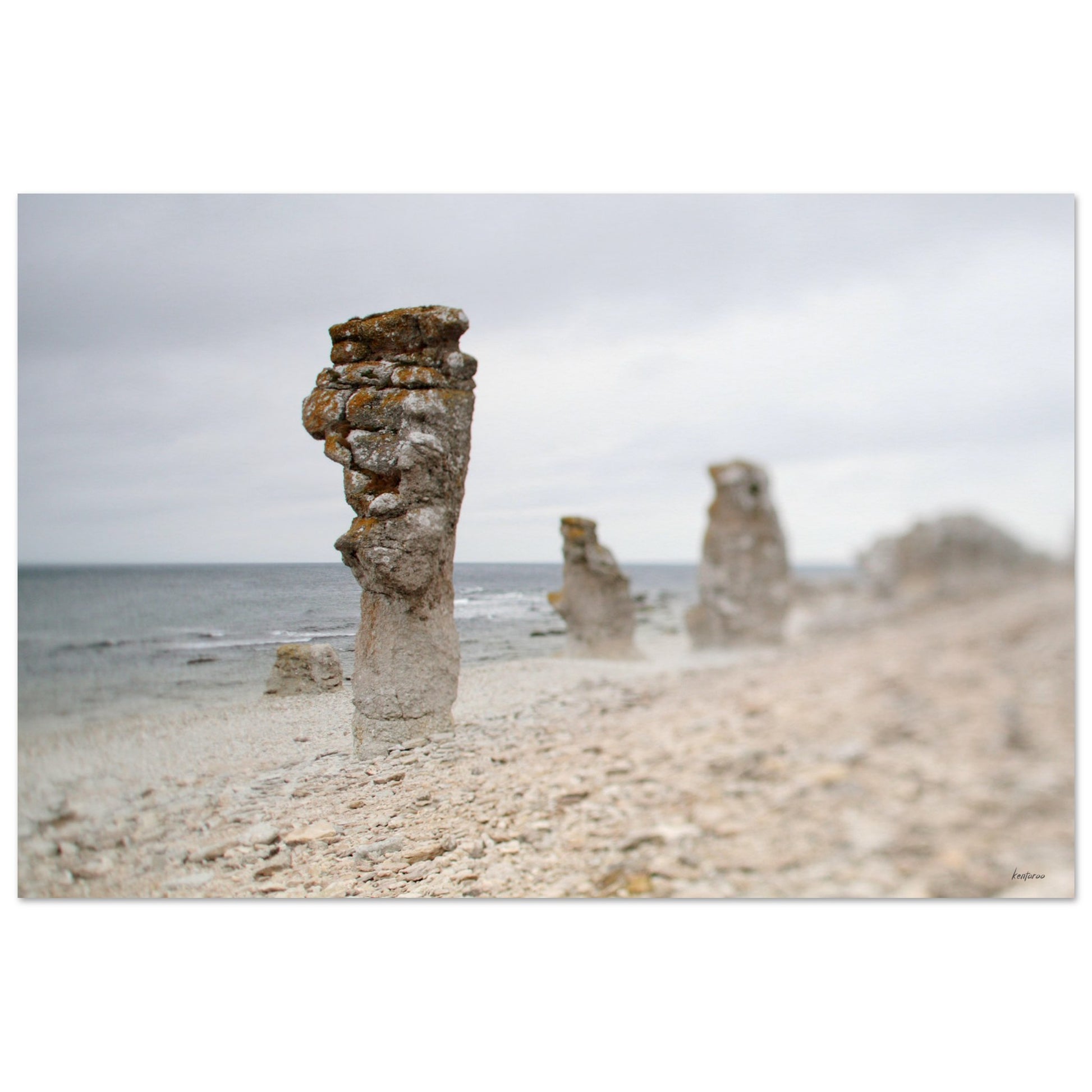 681a25a9-851c-40ba-8e5c-61e2c5ce3bad