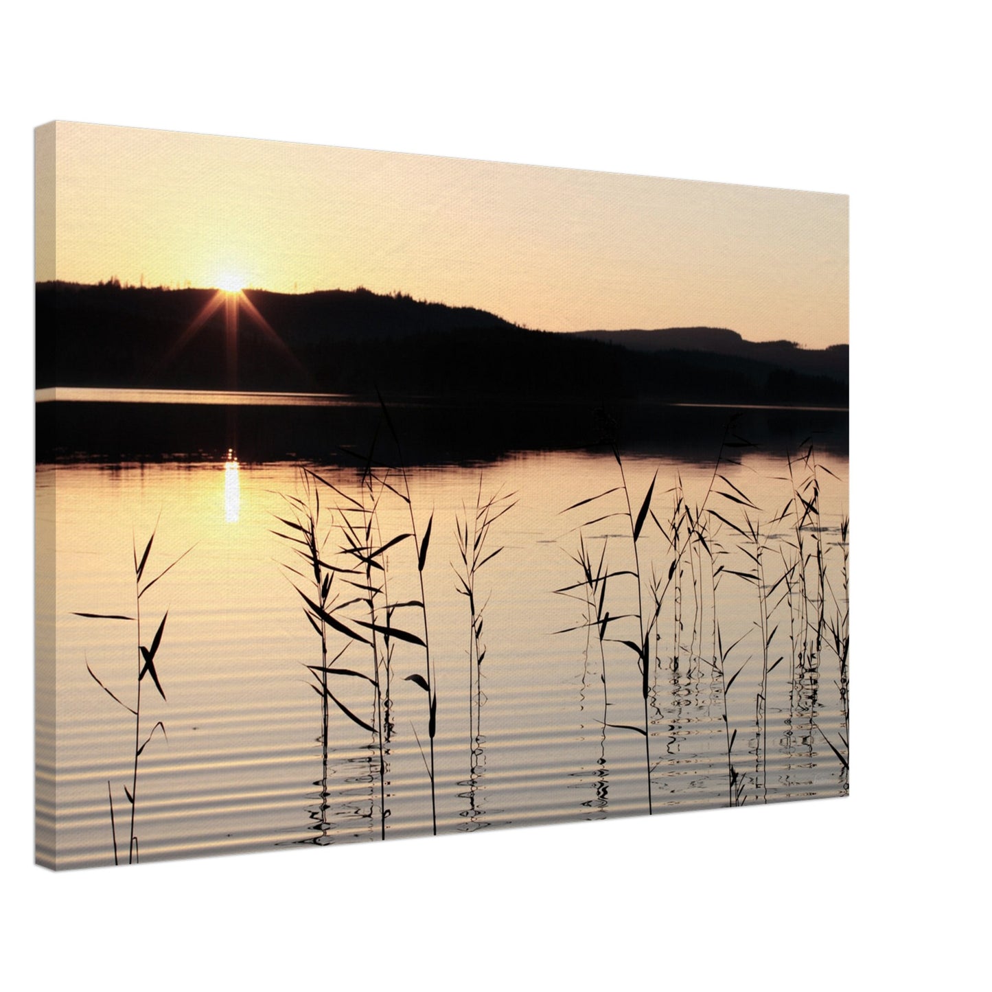 695e0610-f5e8-405a-9326-d87207a90c4b