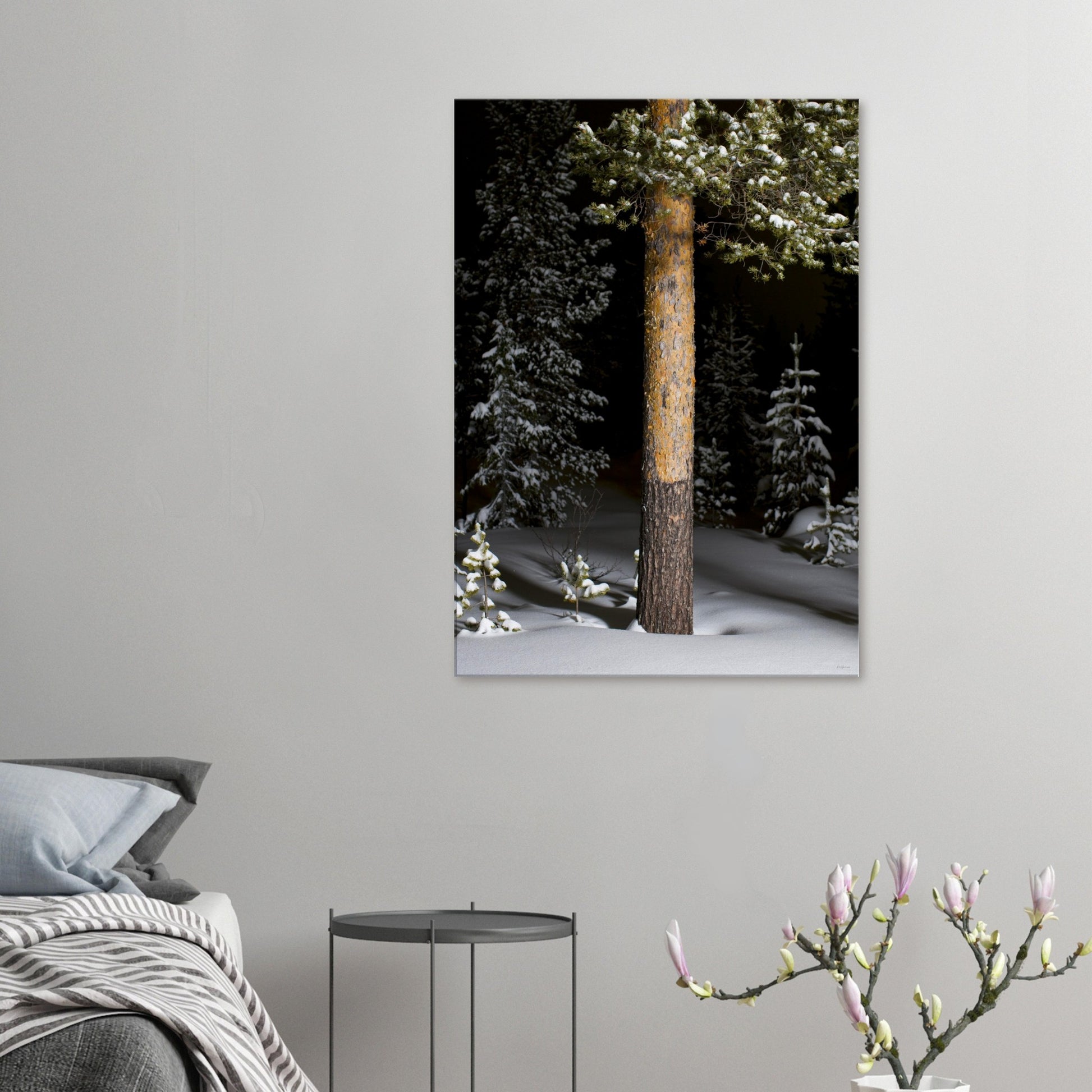 69feb755-4c04-40ef-8bb8-506d53472f4d