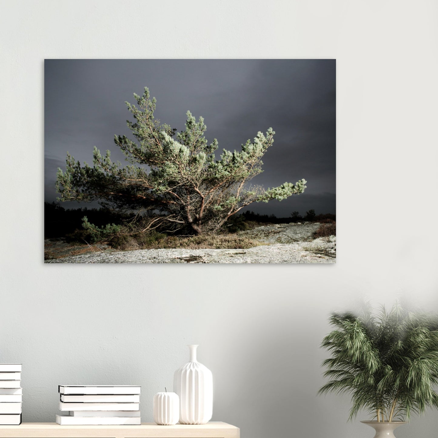 6a34c191-59fe-419a-9ec4-943e51ec1480