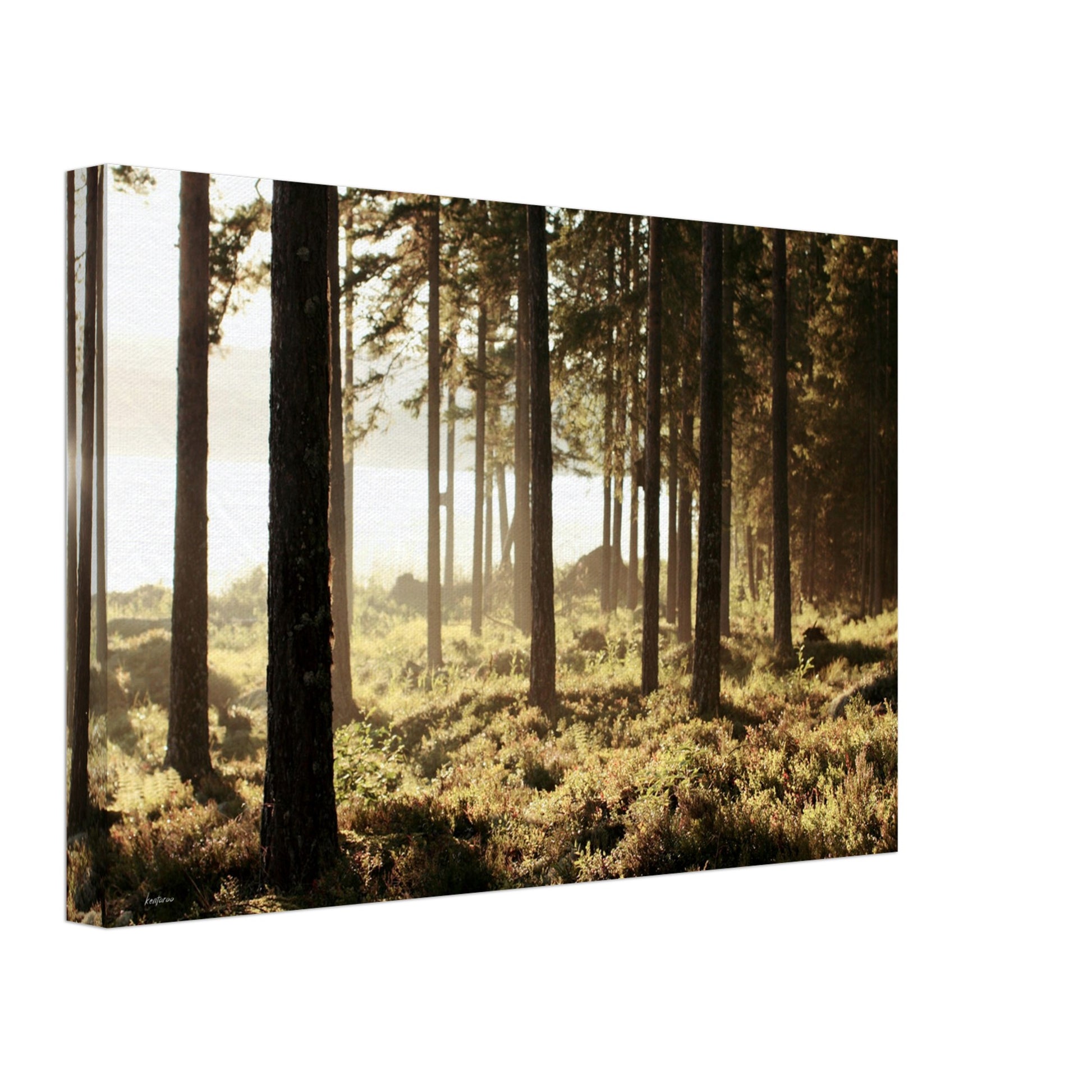 6a7d7a76-c36f-443e-828b-639b146869a4