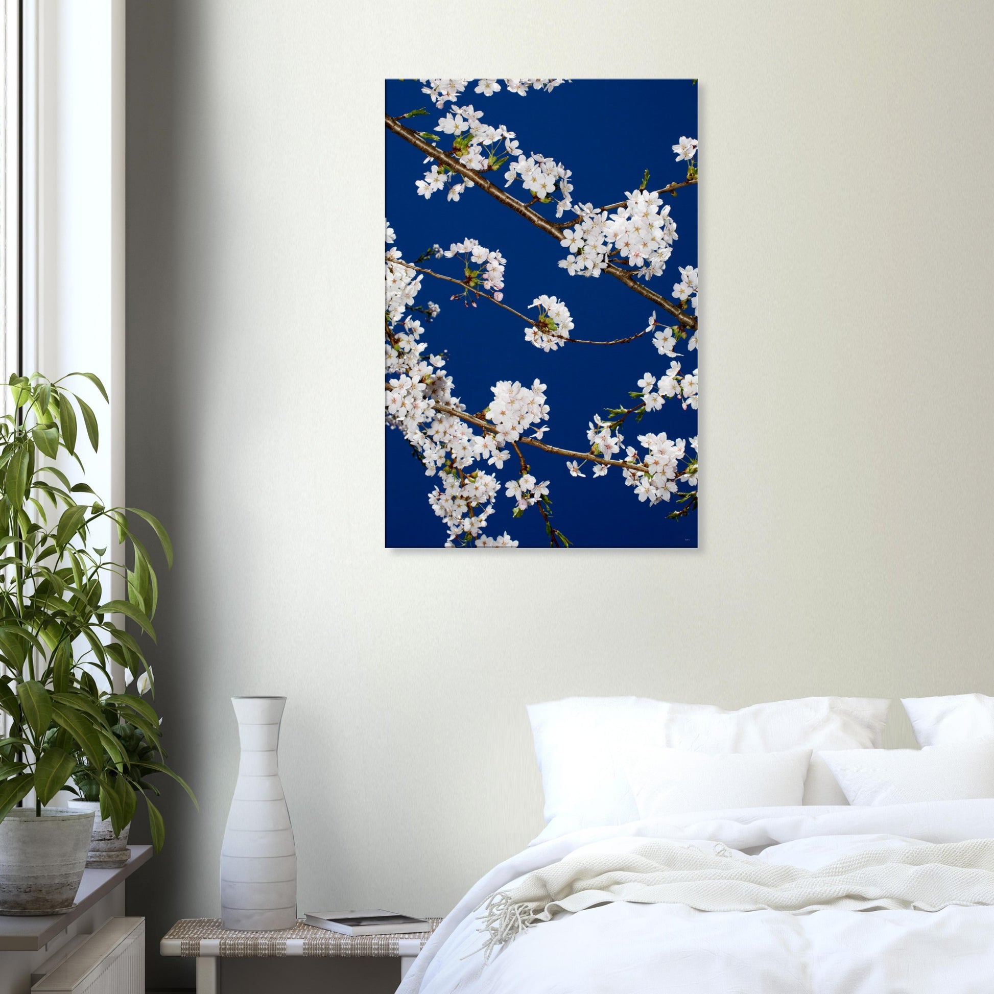 6cfa47e0-99cd-4524-91dc-246a823f9bae