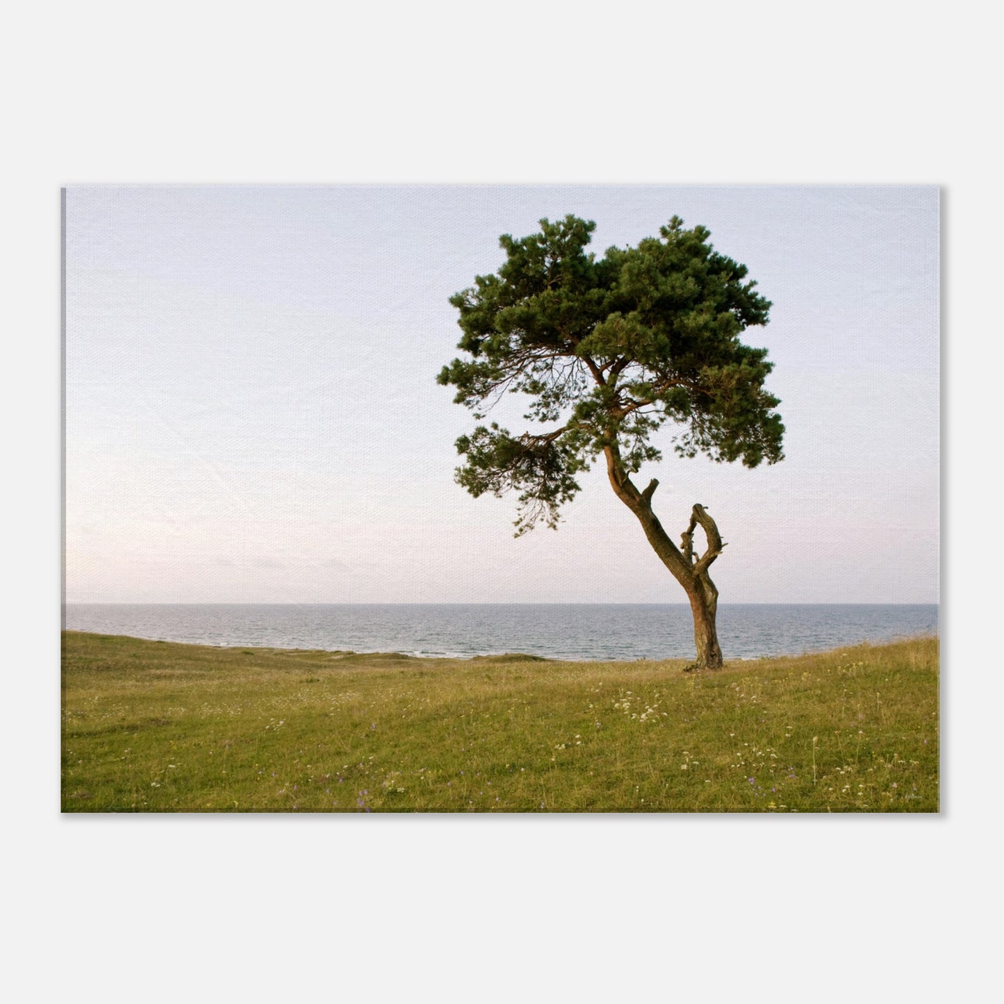 6db1808a-df83-487b-8010-34ef6c90946a