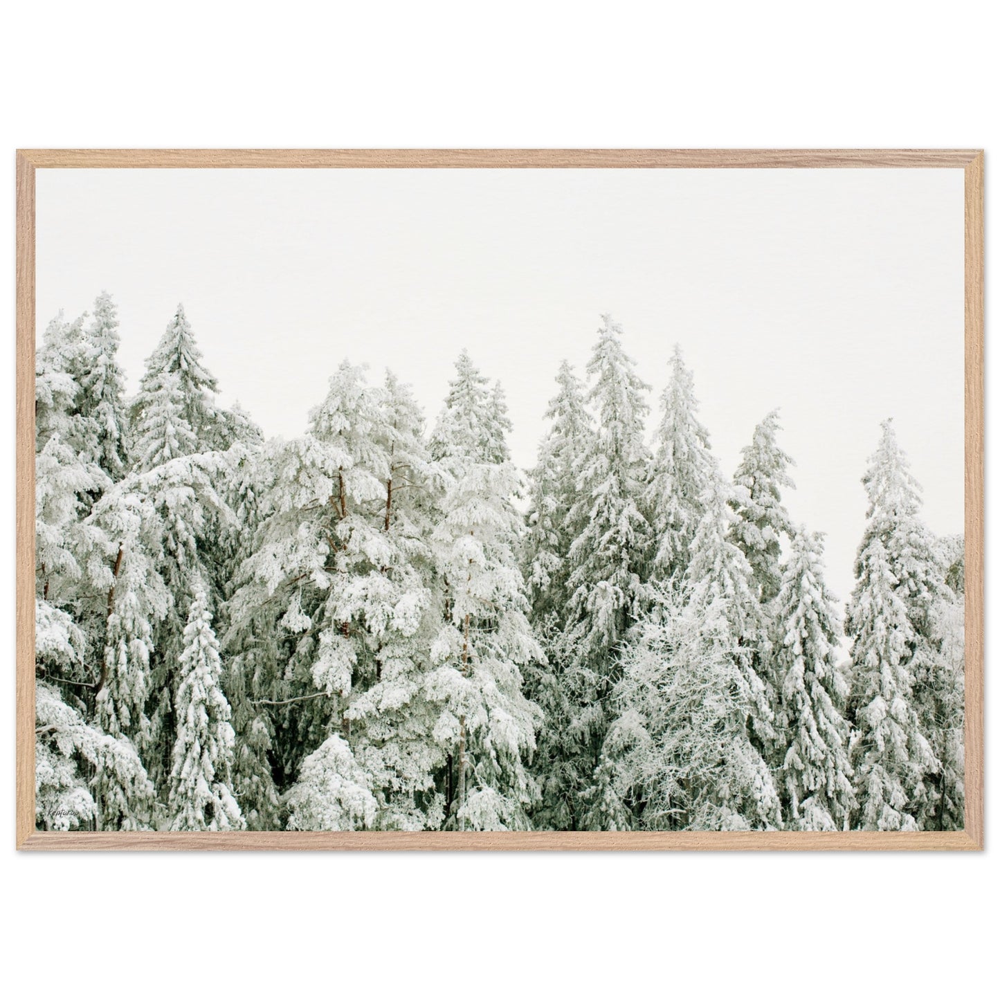 6f54471a-6a94-4fa7-8608-c44c9d0220ac