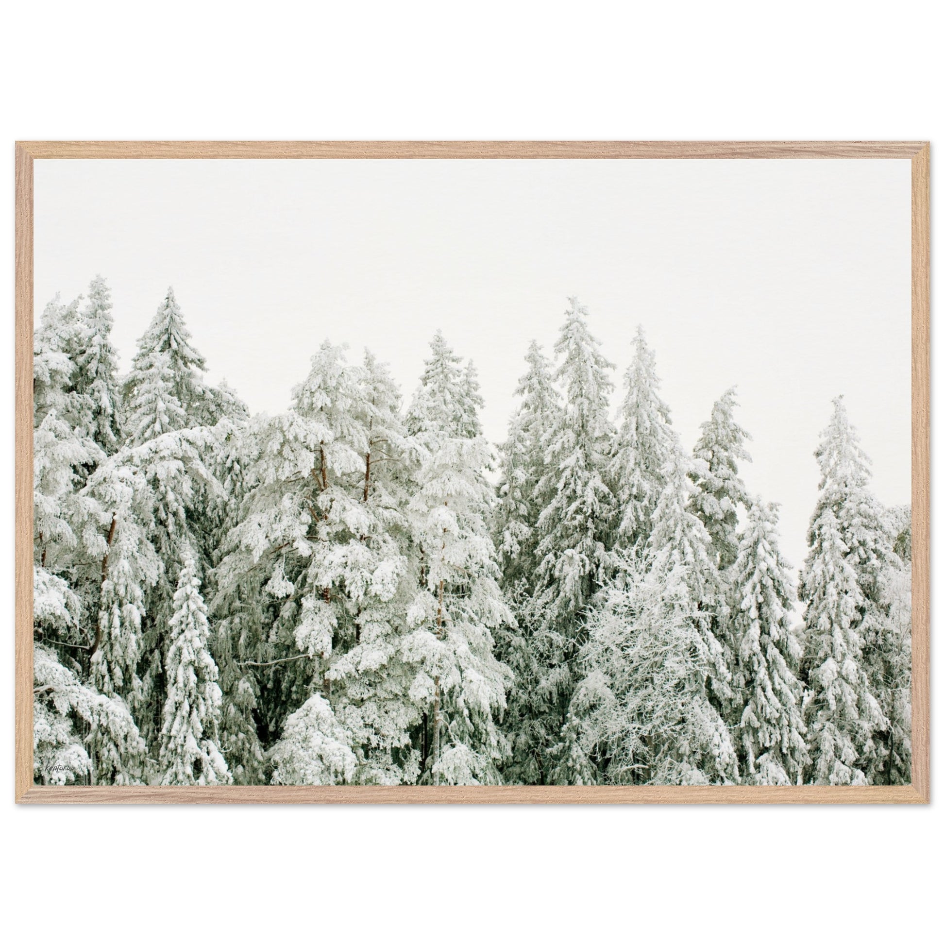 6f54471a-6a94-4fa7-8608-c44c9d0220ac