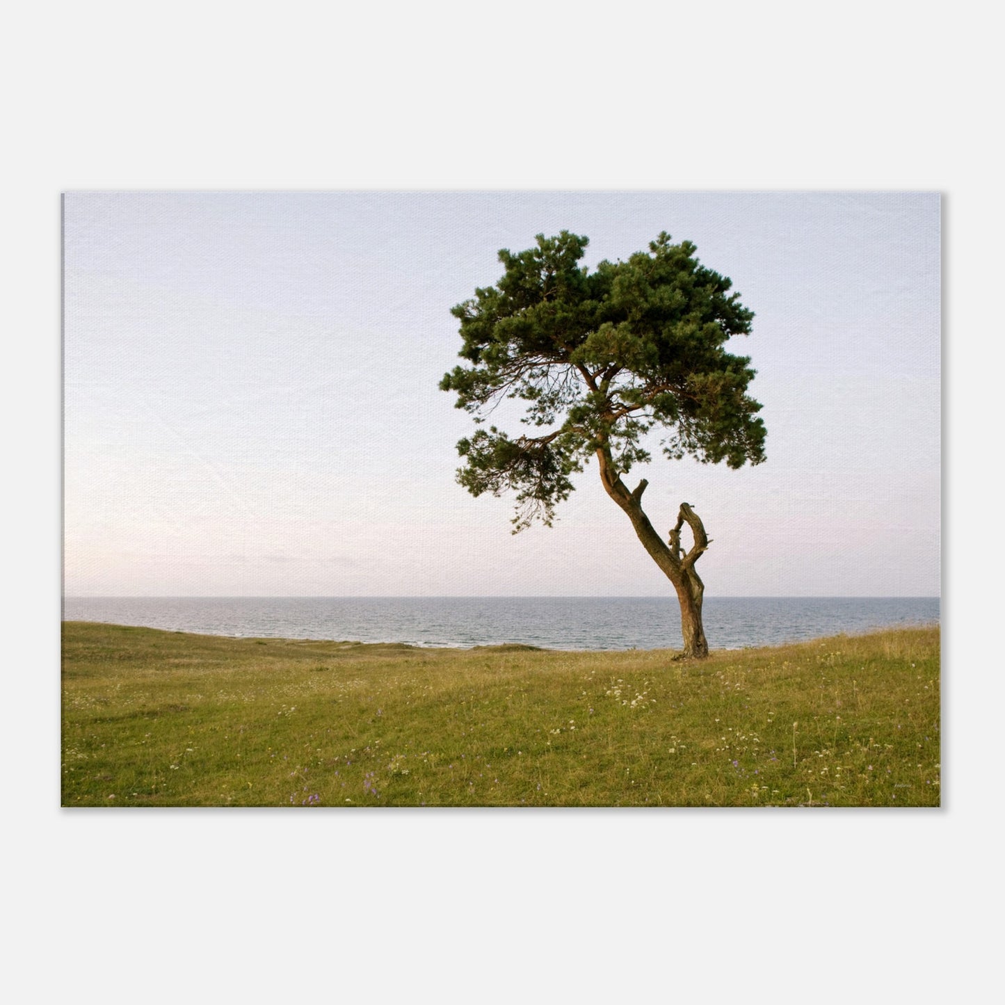 6f5bdcc5-ea8f-4f4f-a63d-289ad58962c4