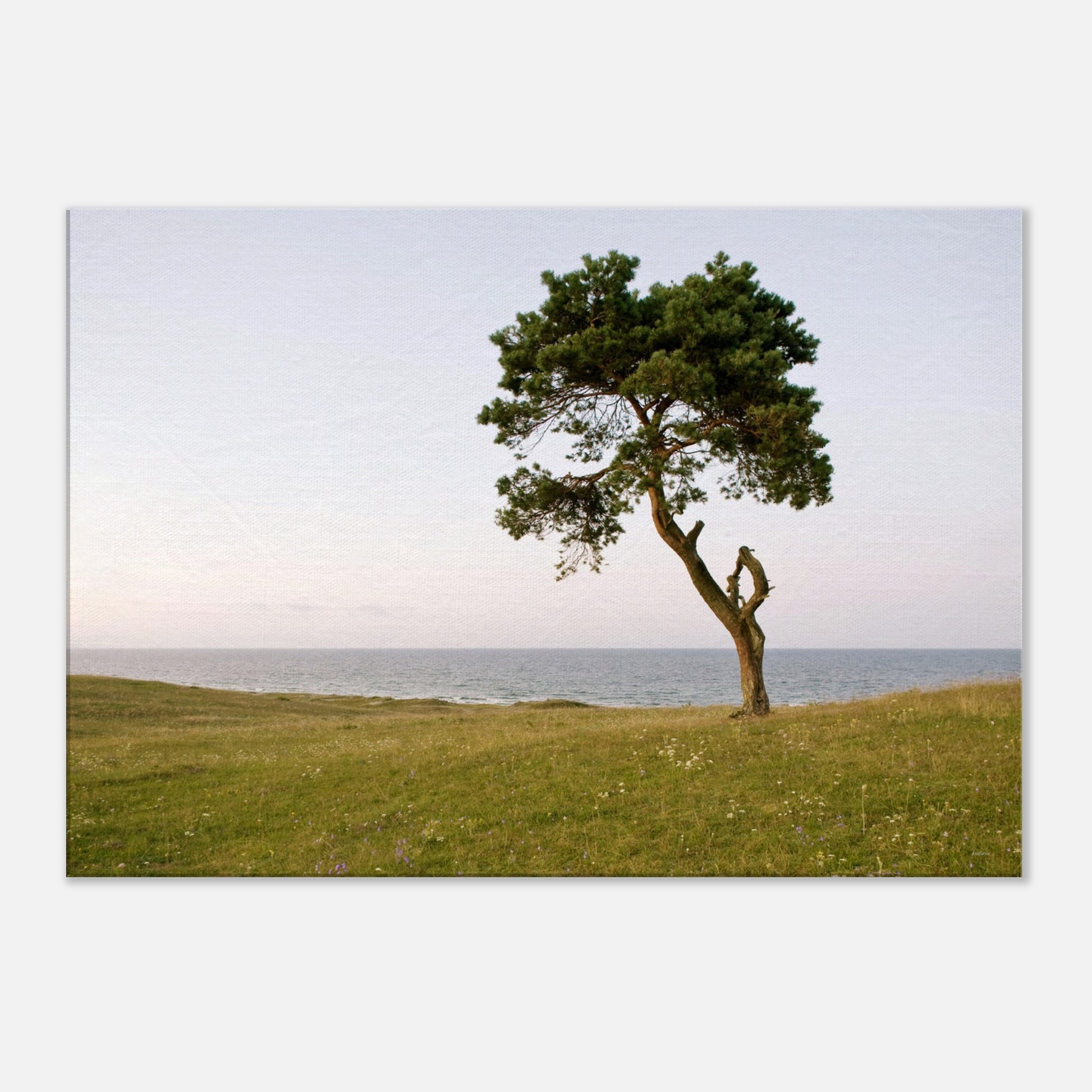 6f5bdcc5-ea8f-4f4f-a63d-289ad58962c4