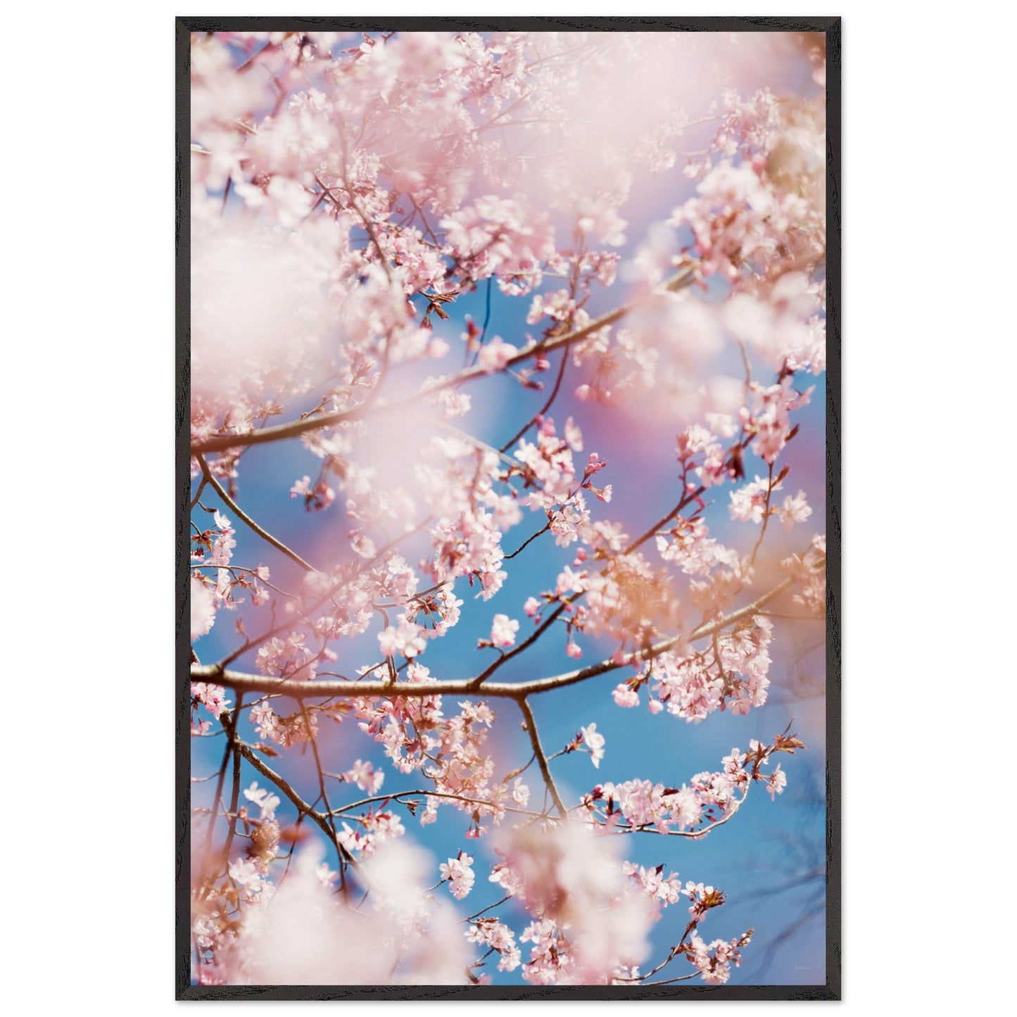 6fffdc85-3a43-4743-a724-96eb6e79570b