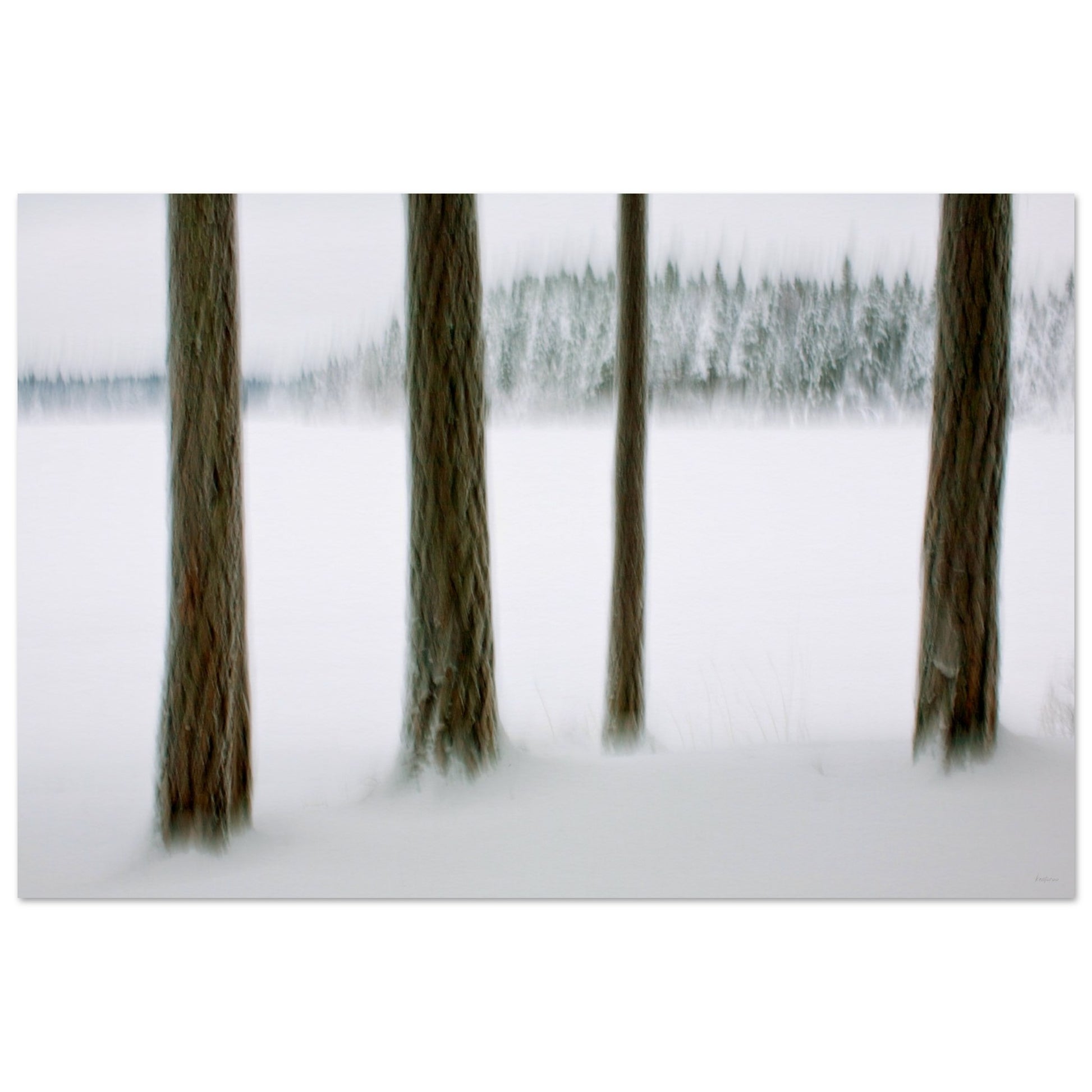 70e14118-66d2-41e7-9bdd-c3d5db932415