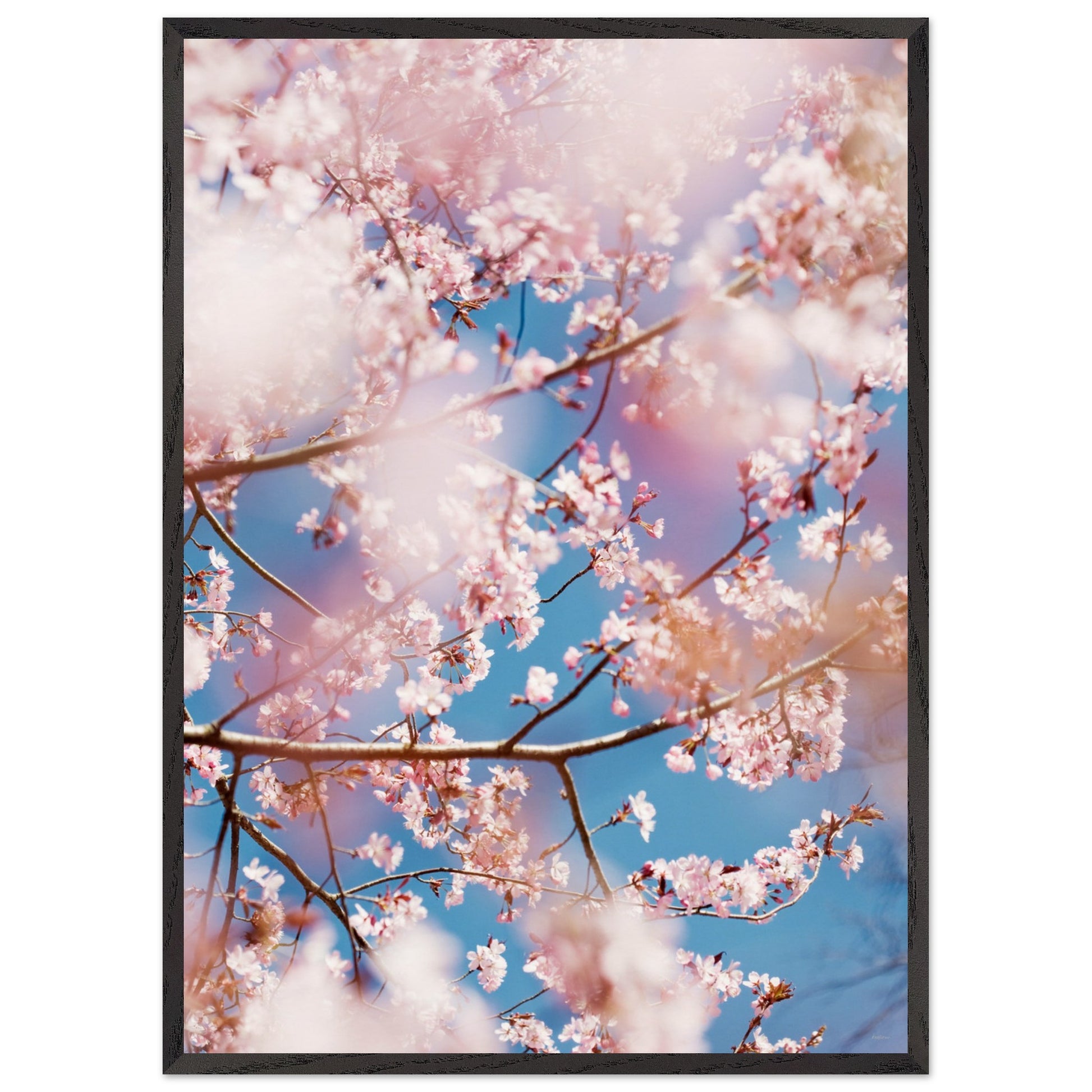 713856ea-38d0-4a80-ba28-dc1544ffdf50