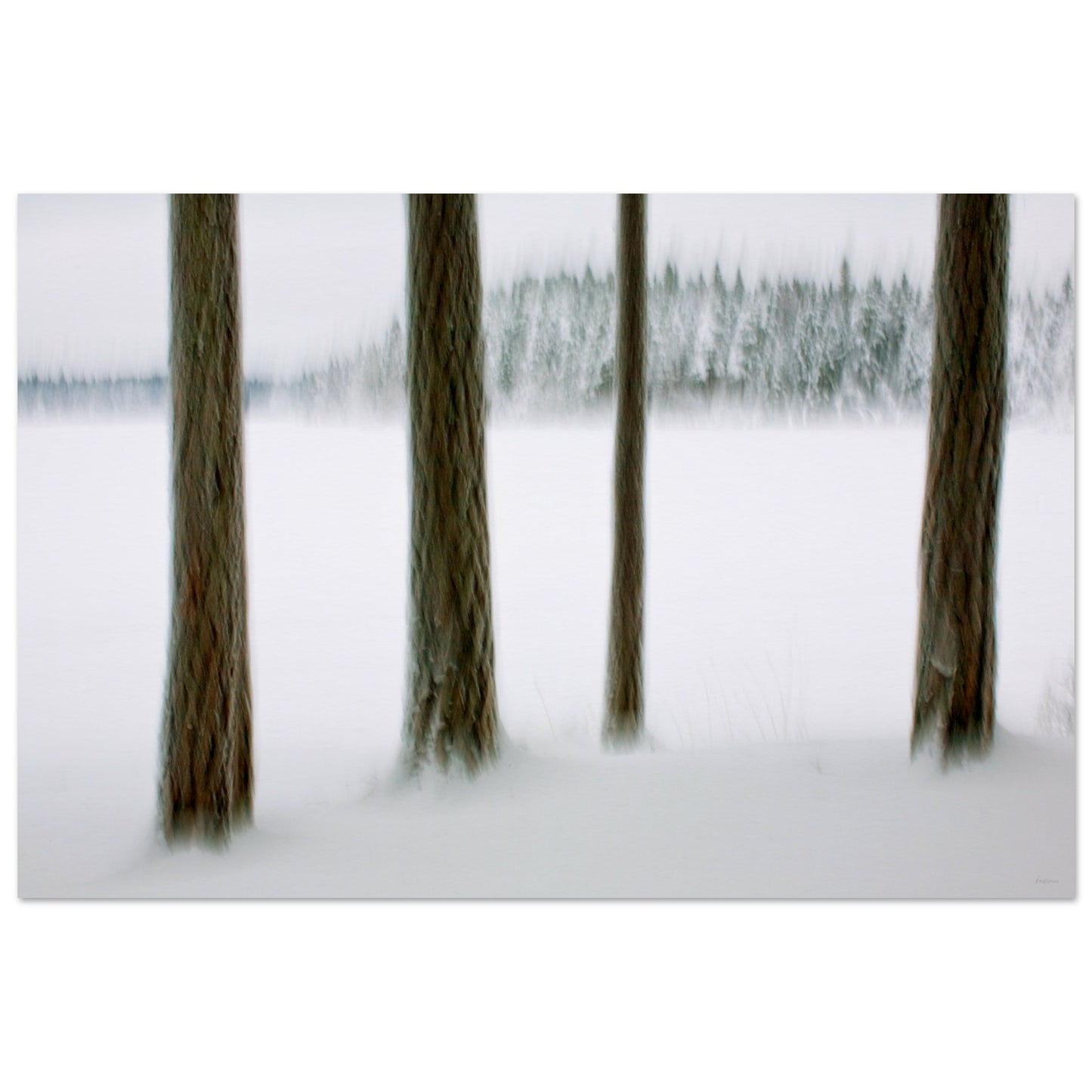 71d8cfe4-5820-46d7-b2a2-653d2ce3aff8