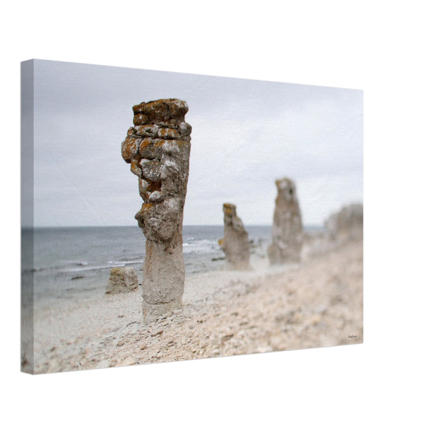 7225f8d8-4dd0-4d9d-b3d5-77717a20d552