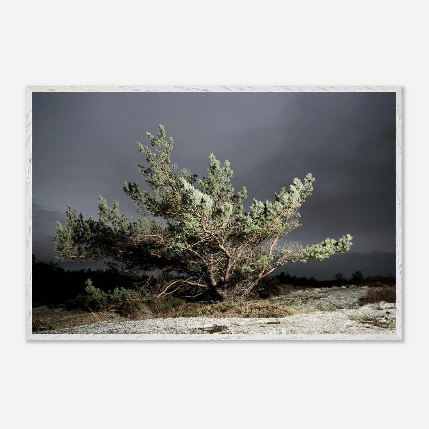 72763284-c9af-4032-b79e-ae4225f2db60