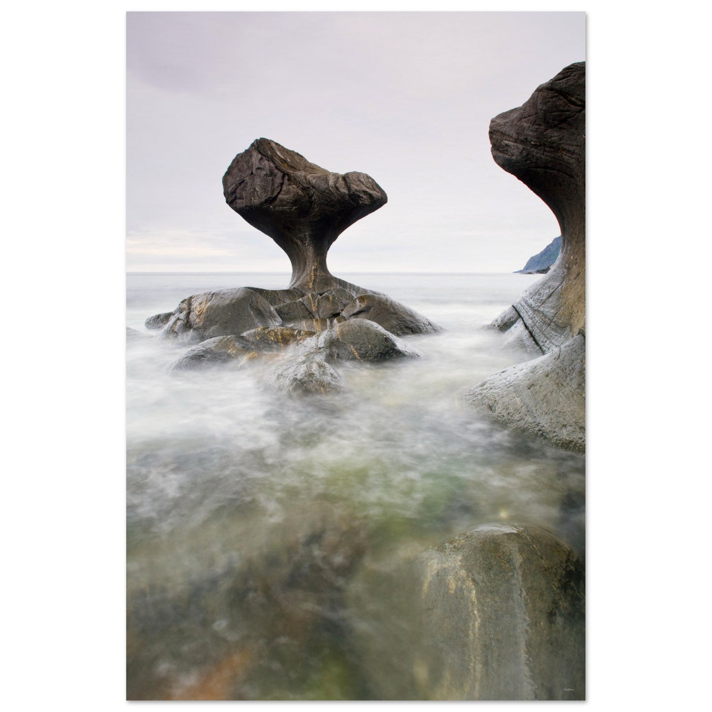 7419d8d8-211a-46e1-b50b-9a2f43b2290c