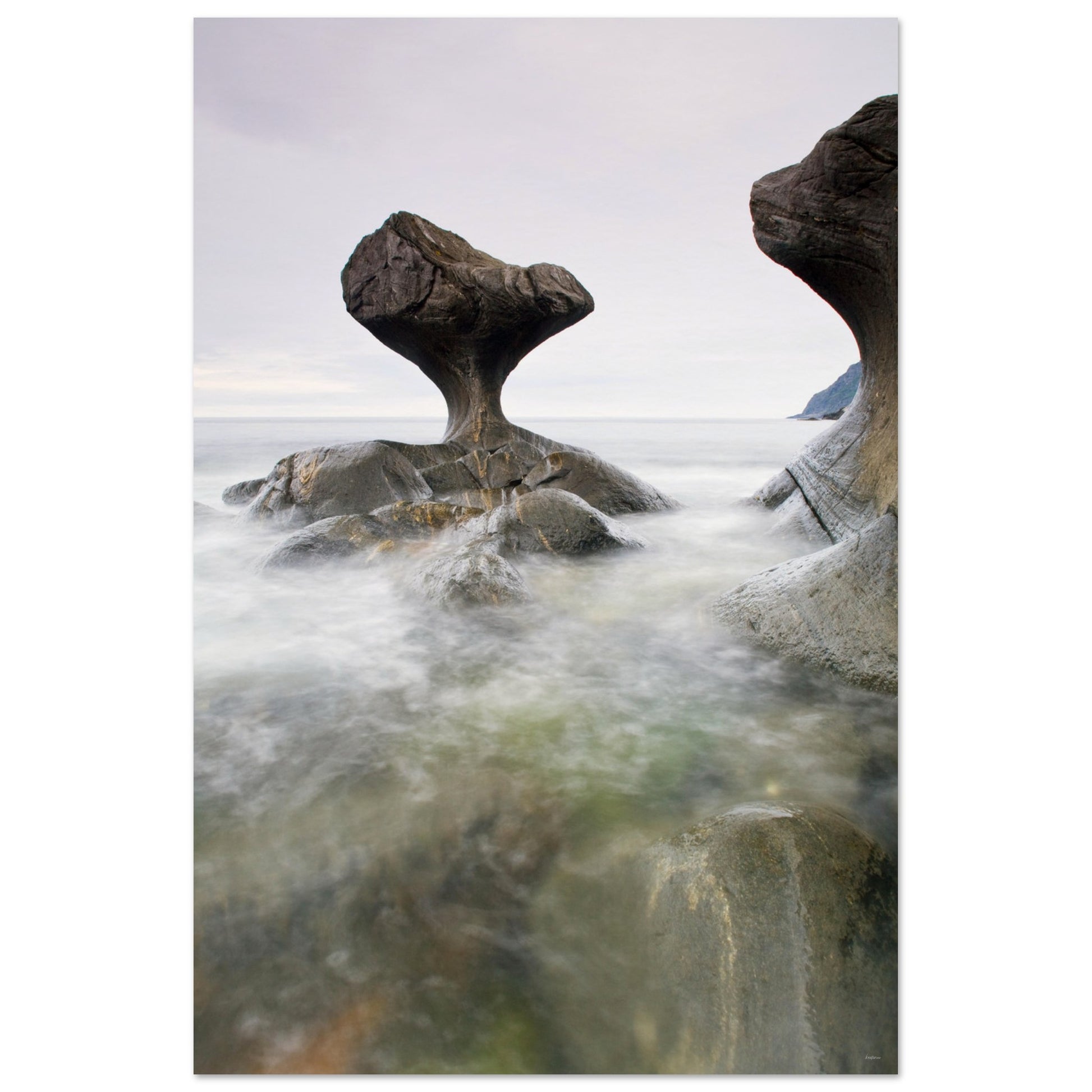 7419d8d8-211a-46e1-b50b-9a2f43b2290c