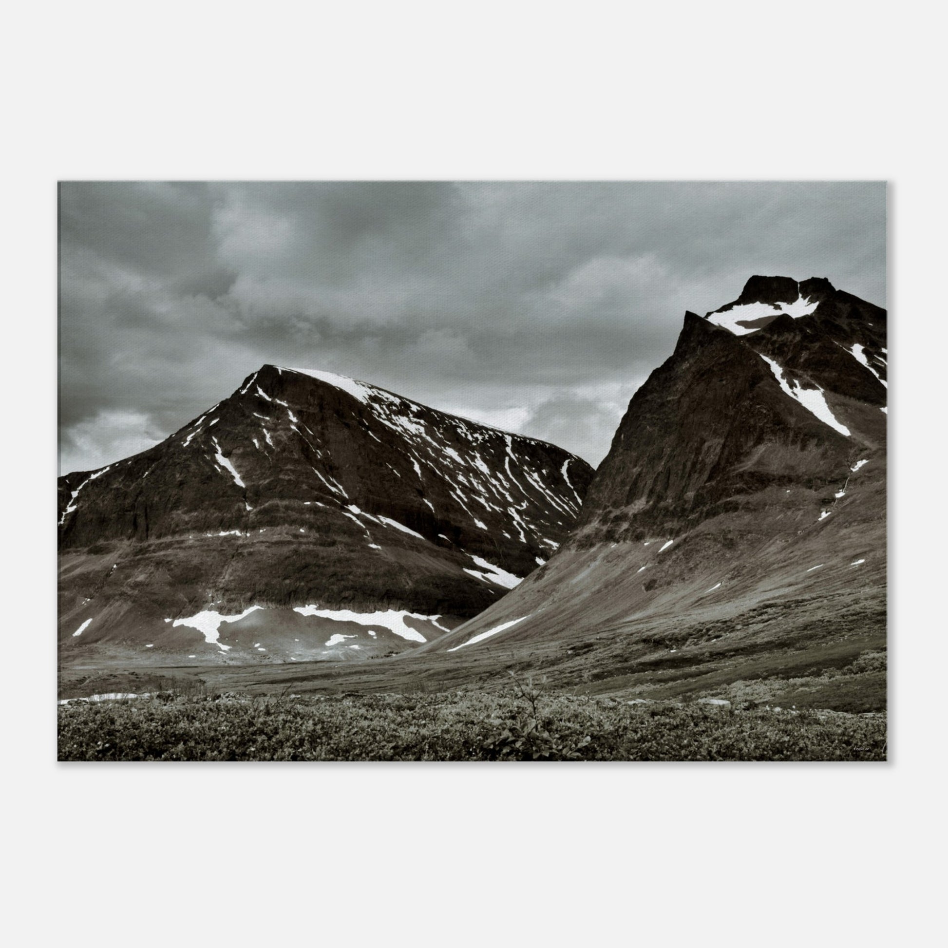 753bd7a3-1800-46dd-8e09-c3f528d0113f