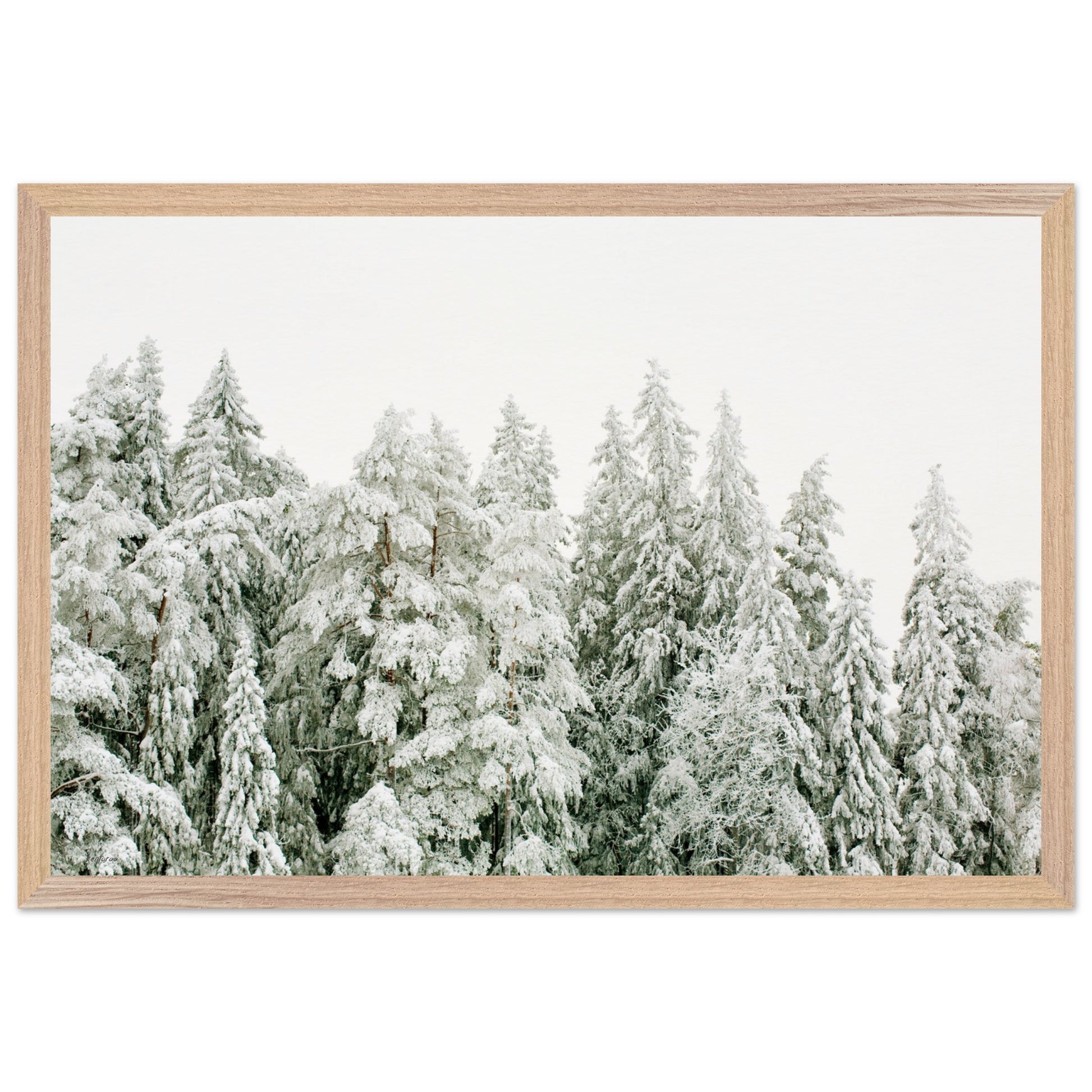 7644bb4d-9de0-4dfb-bb62-aad0f0f67340