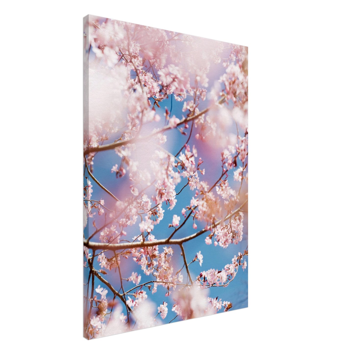 76461954-defe-46f8-809a-d575b9198c18