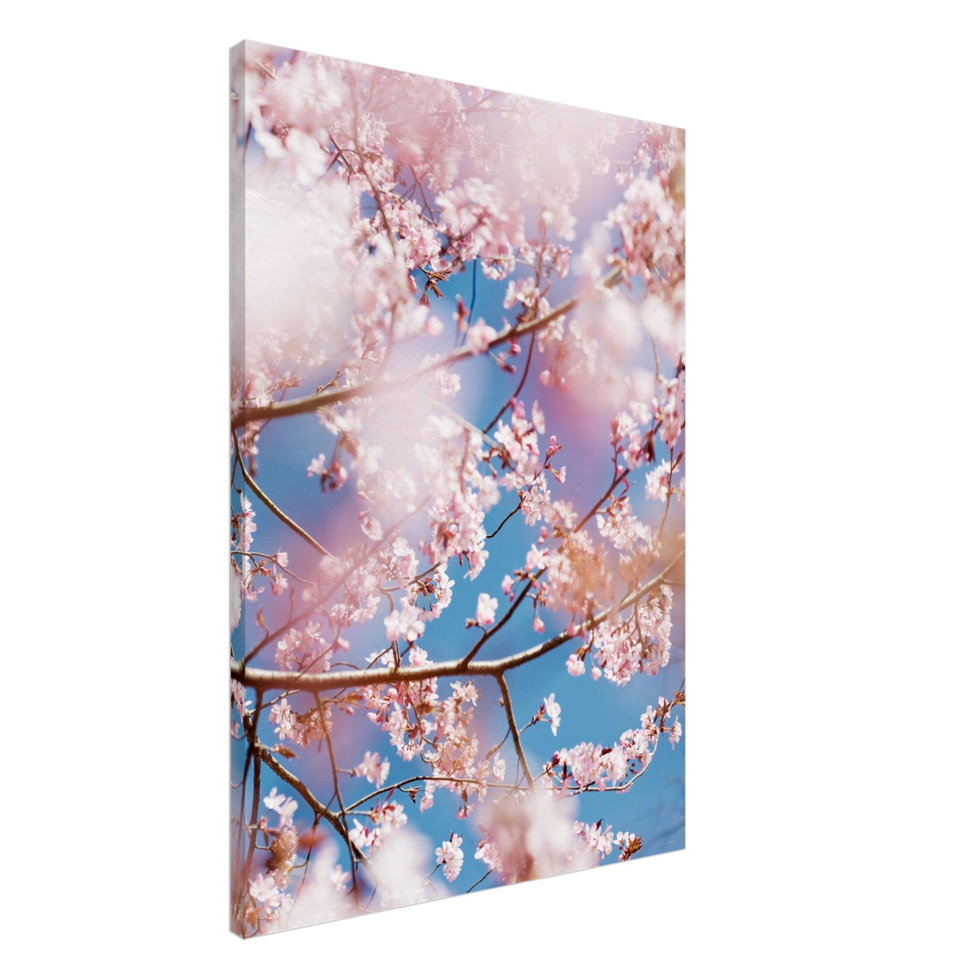 76461954-defe-46f8-809a-d575b9198c18