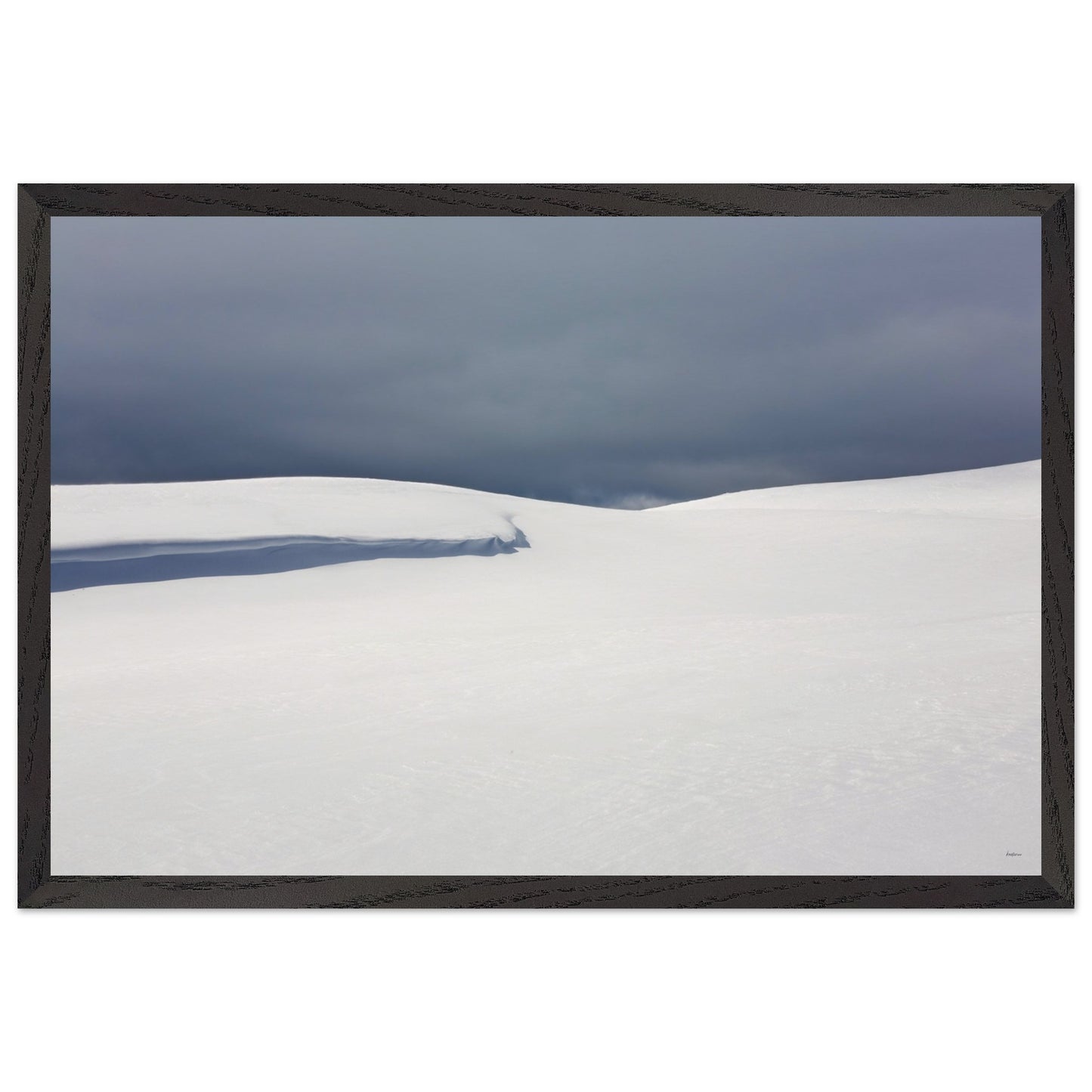 7655961b-3ed9-47a1-92b8-7893148f5d9e