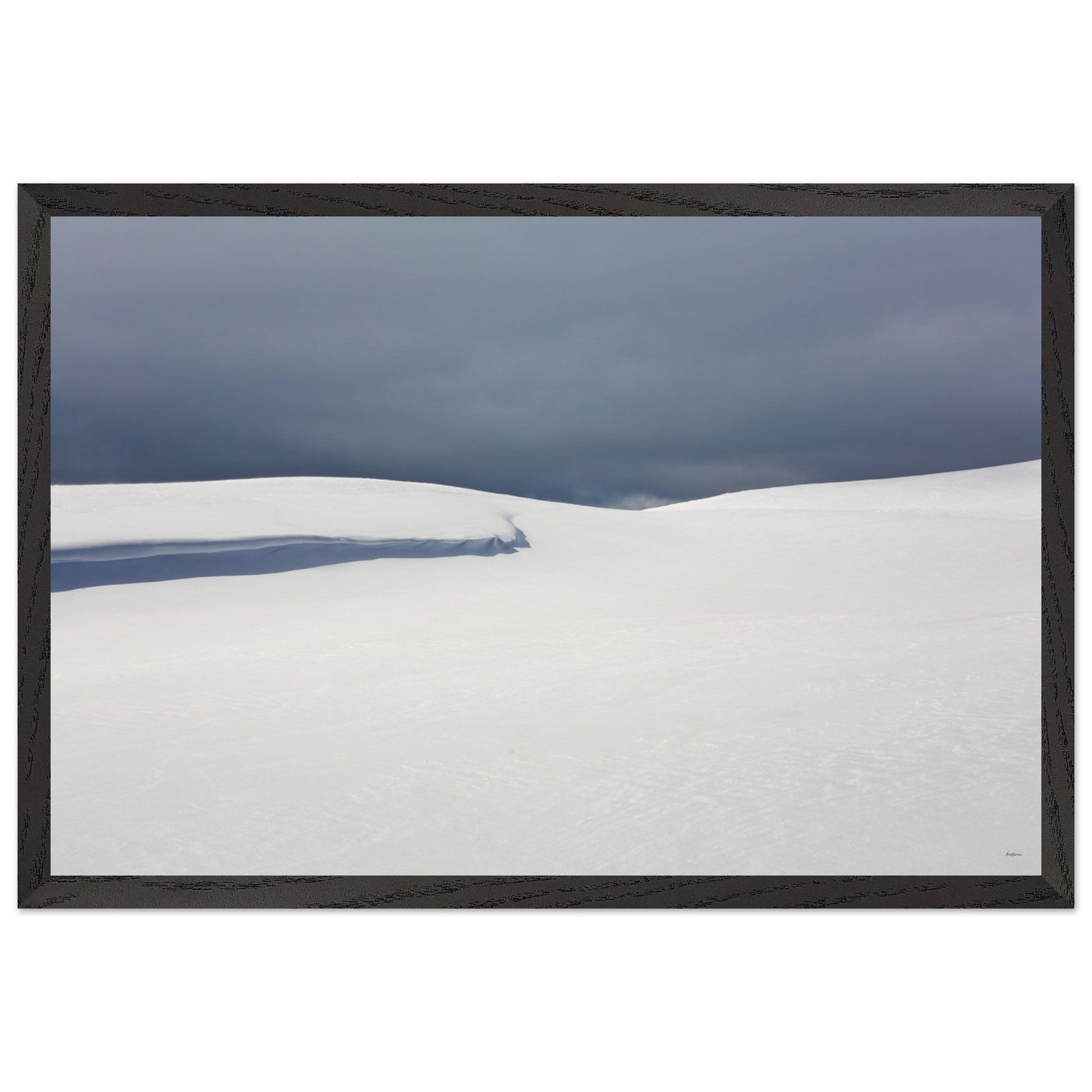 7655961b-3ed9-47a1-92b8-7893148f5d9e