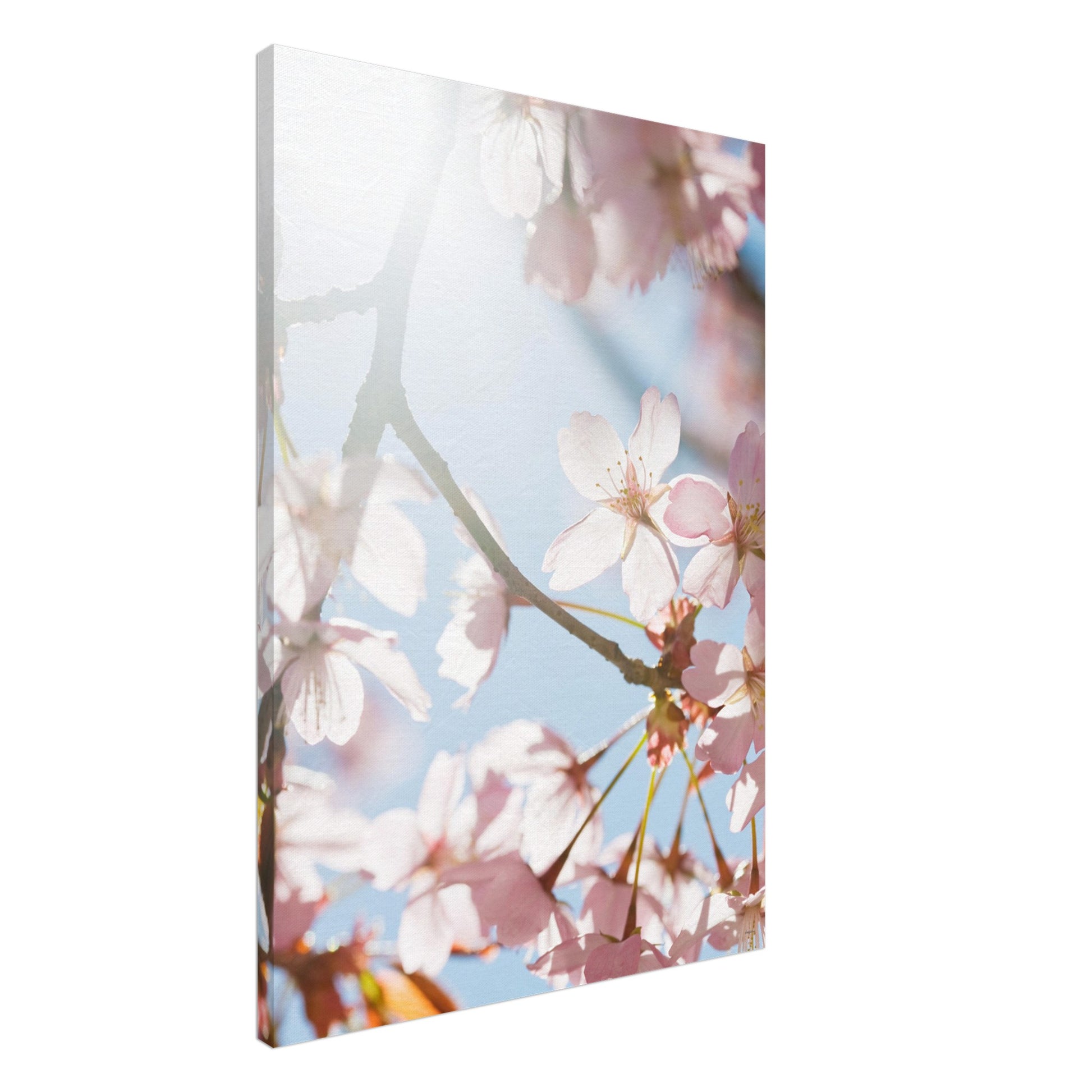 766e9396-9958-46e9-be23-ca49ae00b31d