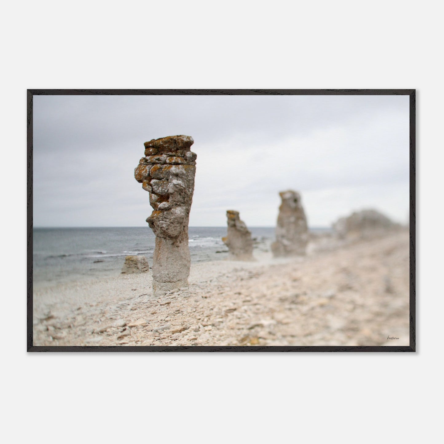 76b549f1-f748-4894-86f8-3059cec34647