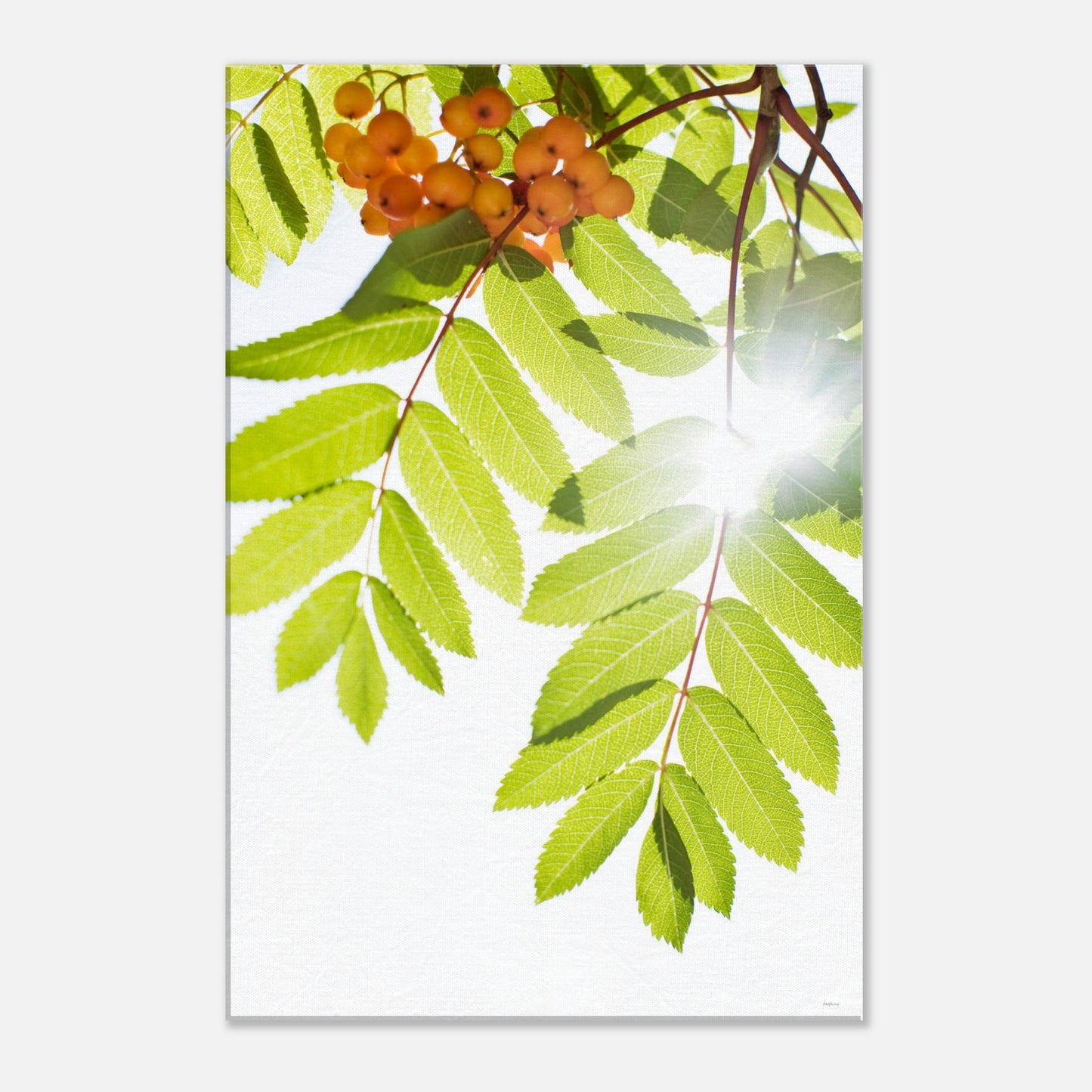 76f1be66-447c-41d6-819e-f351f7a4aaee