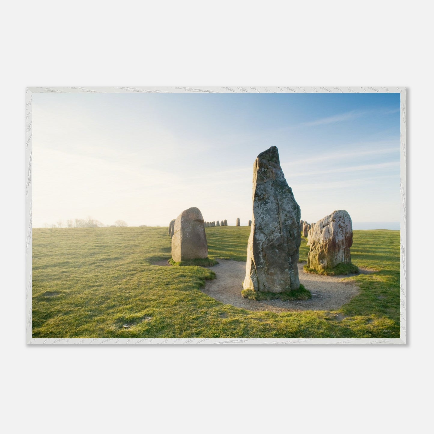 77003d9b-499a-4e62-8585-fc2cba93dccf