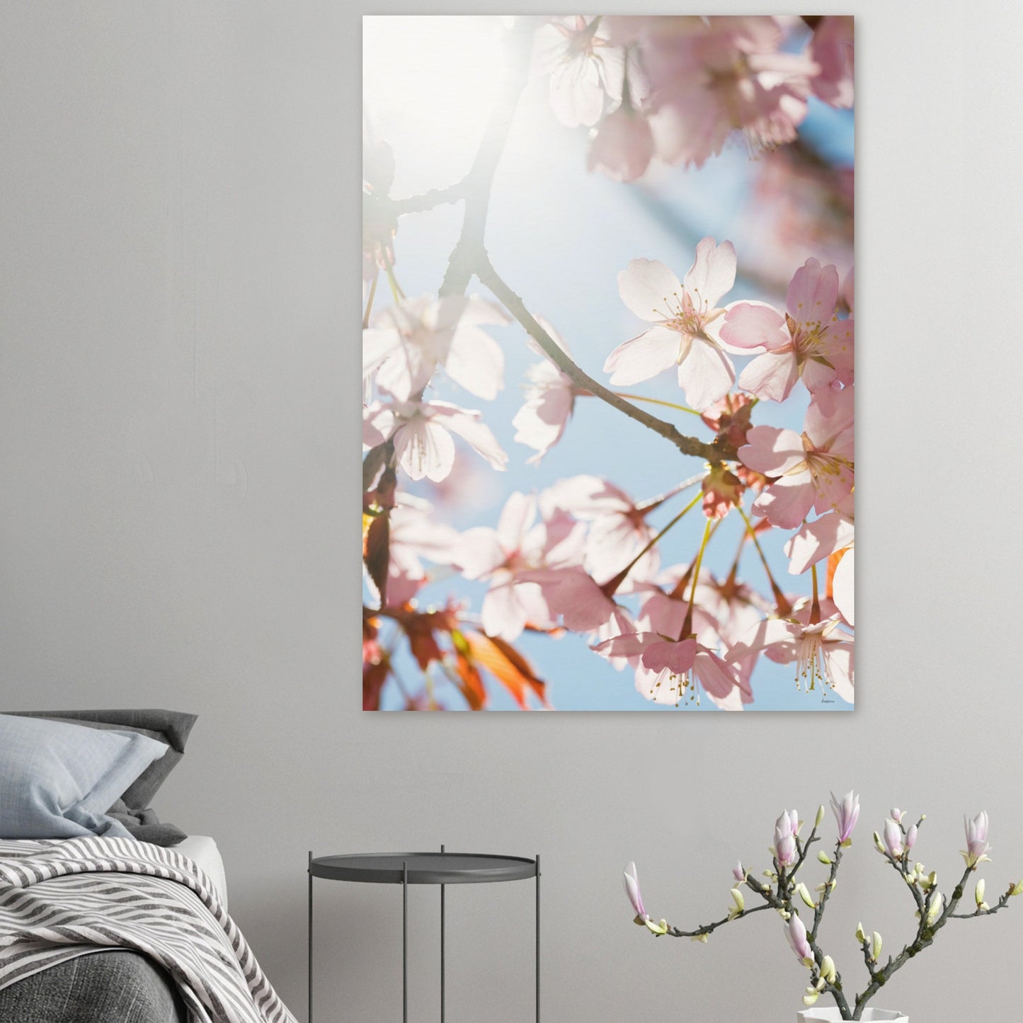 77a6b5dc-913a-4a97-ad5c-37ea0fcb641a