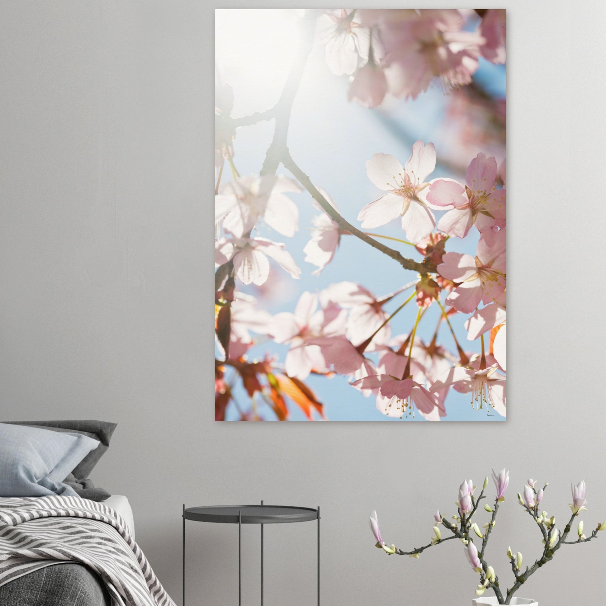 77a6b5dc-913a-4a97-ad5c-37ea0fcb641a