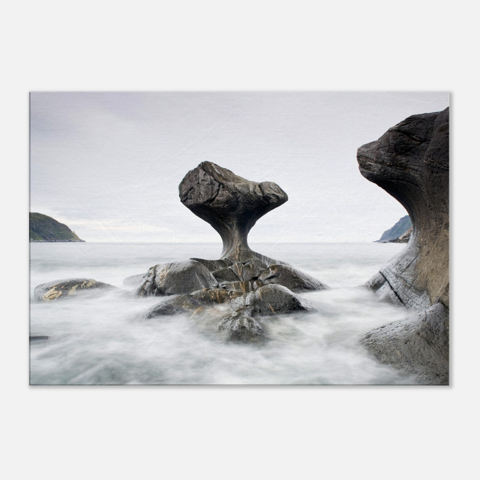 780e1d61-9ef5-4436-8899-5ec4e2399956