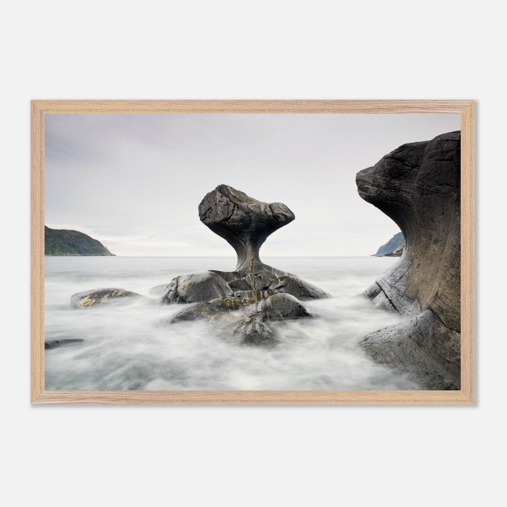 79ad940a-c97c-4423-a707-fab8d884a026