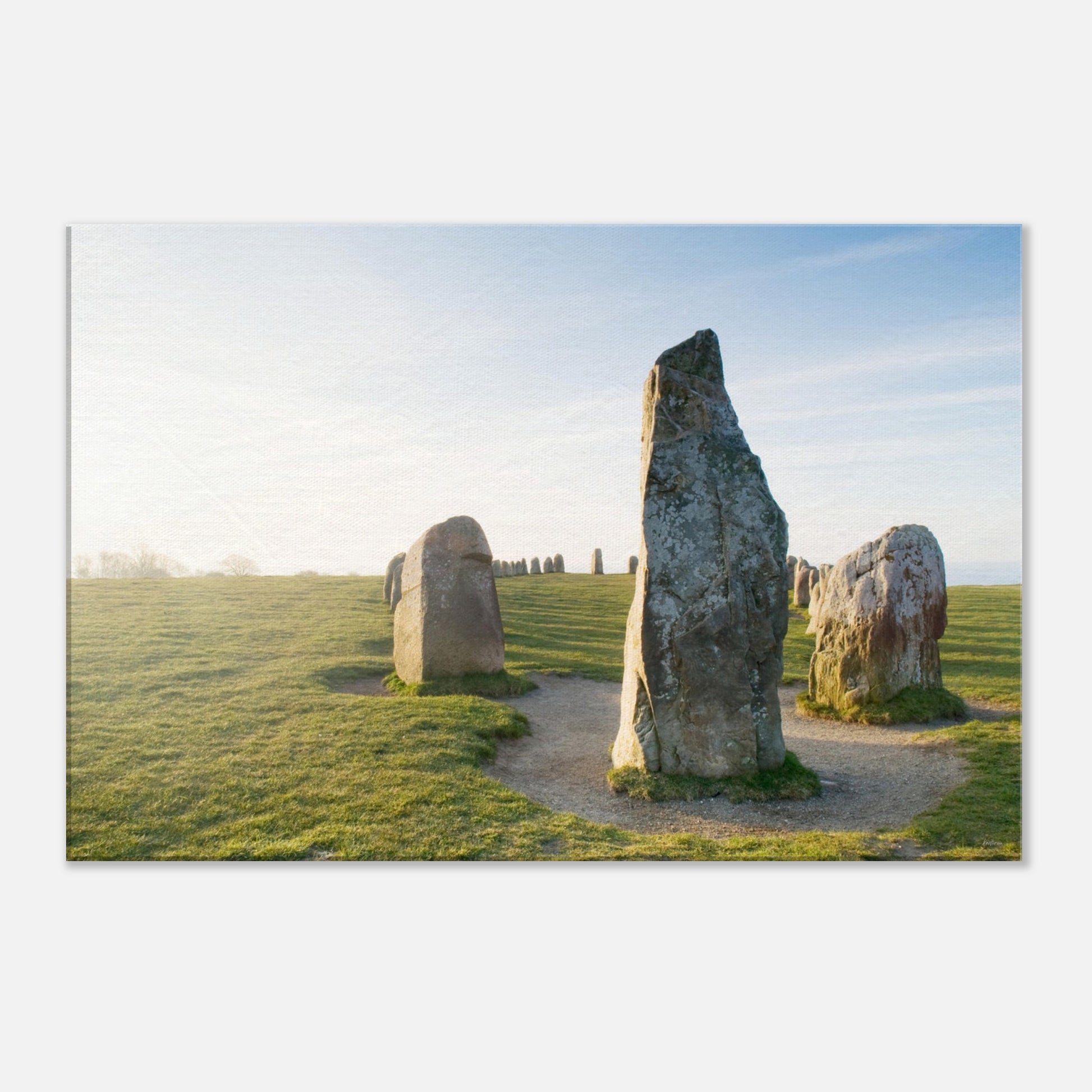 7a159317-74d5-42c7-bf43-fdf7c753890b