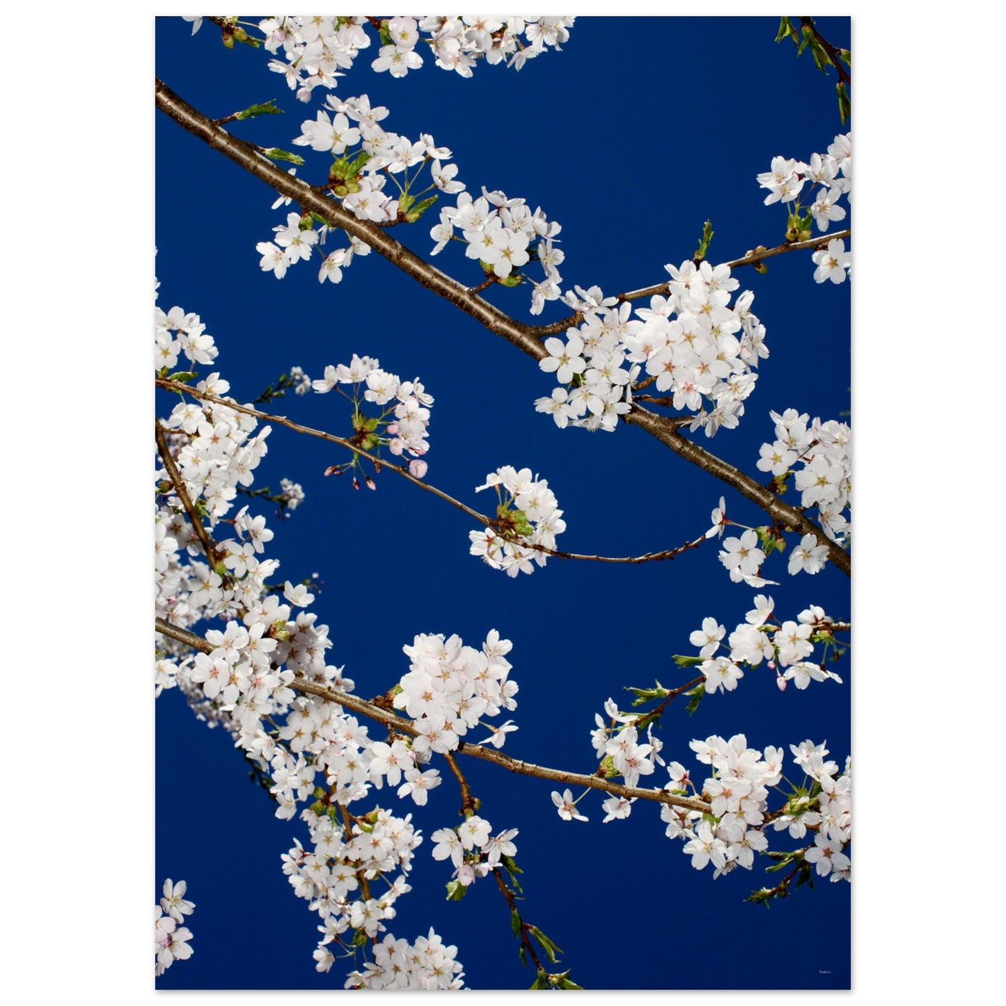 7b384011-e5a8-41eb-bd4f-73a15e281f94