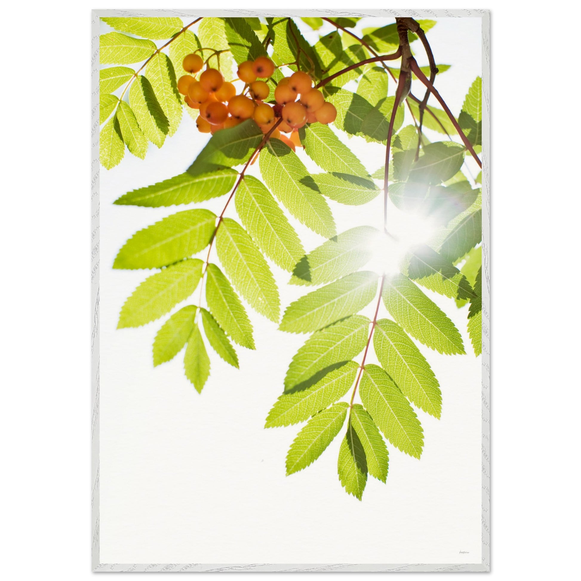 7b4da271-4a8a-44ef-b039-2ed8a623b29a