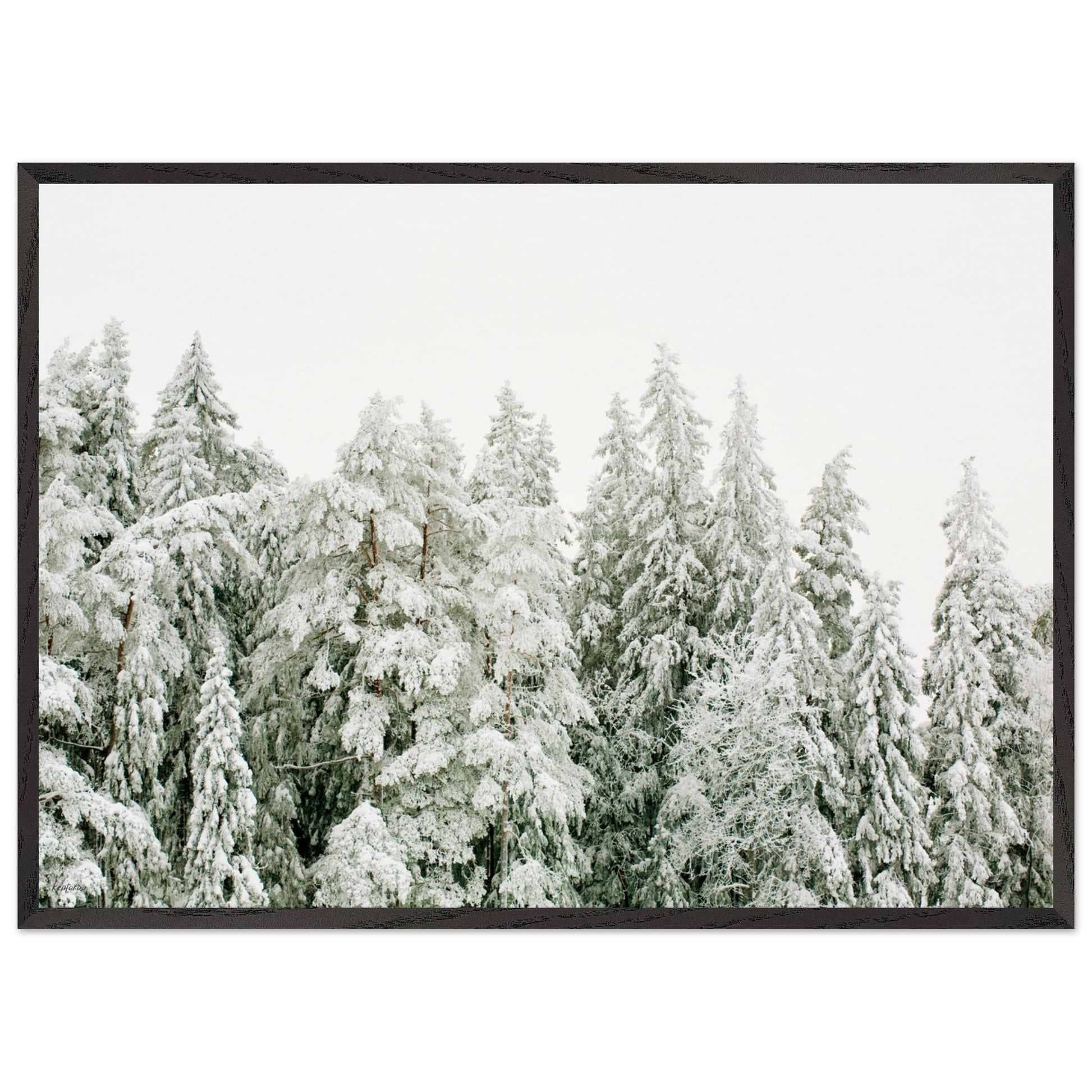 7bb1958e-f145-43a7-b125-fc3a18f9e80e