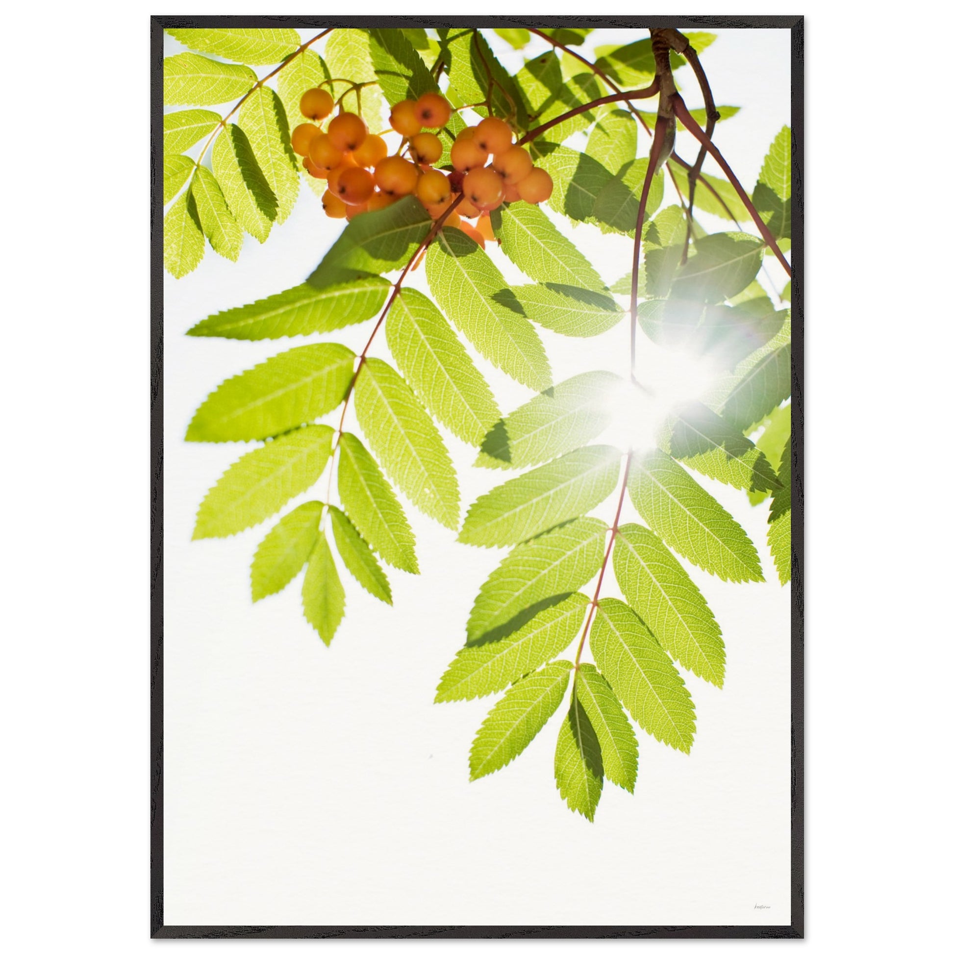 7c44b2fd-83d5-4b59-8f2d-5467e7a874d3